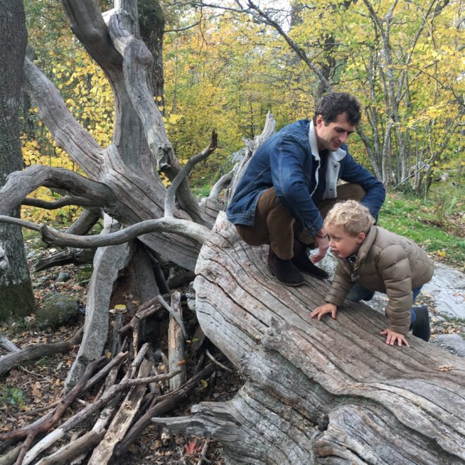 Norden-USA kulturella skillnader