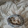 Recept på glutenfria frasiga croissanter