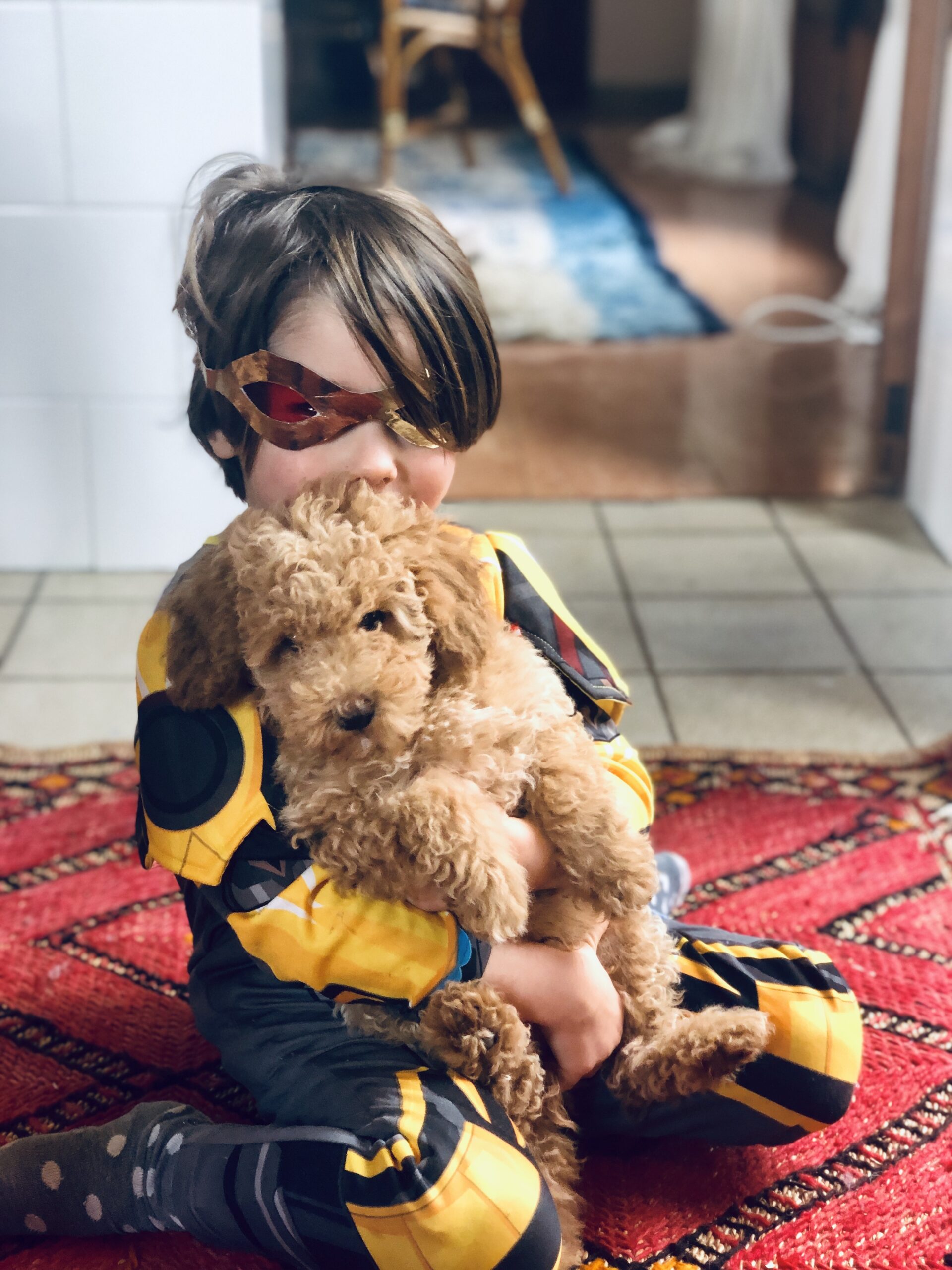 Teddy