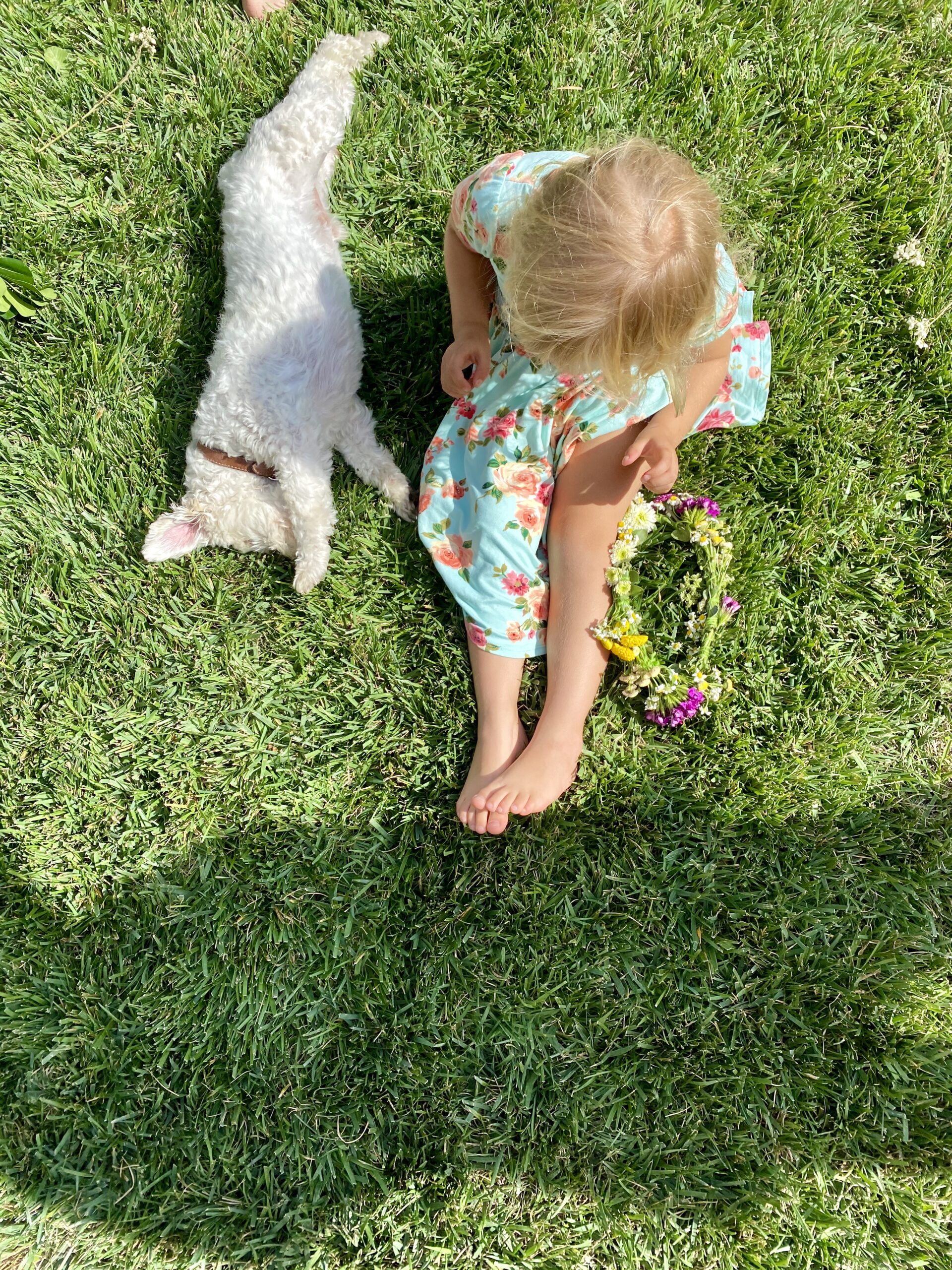 Midsommar 2020 i Silverlake