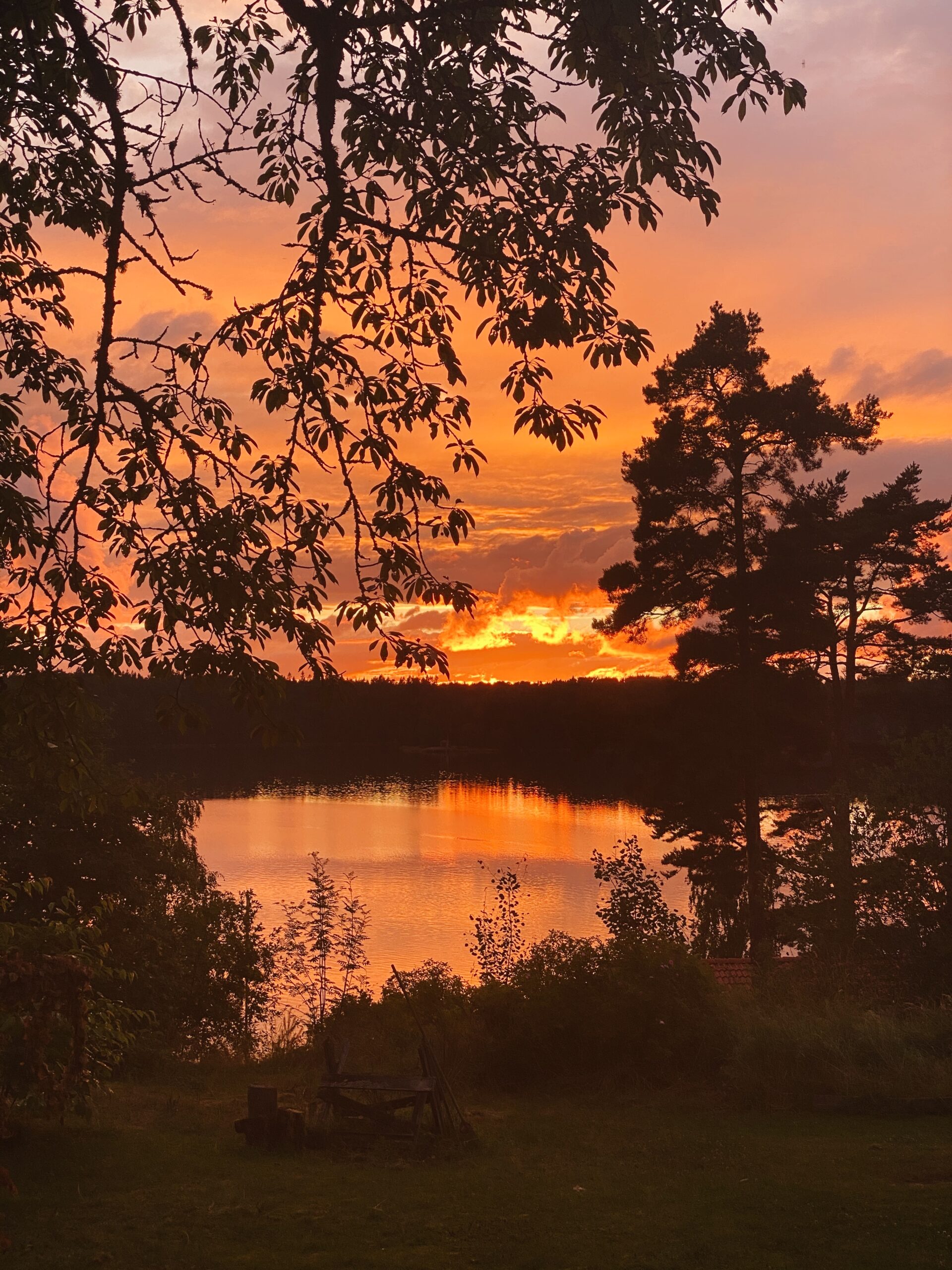 Första veckan på sommarlovet