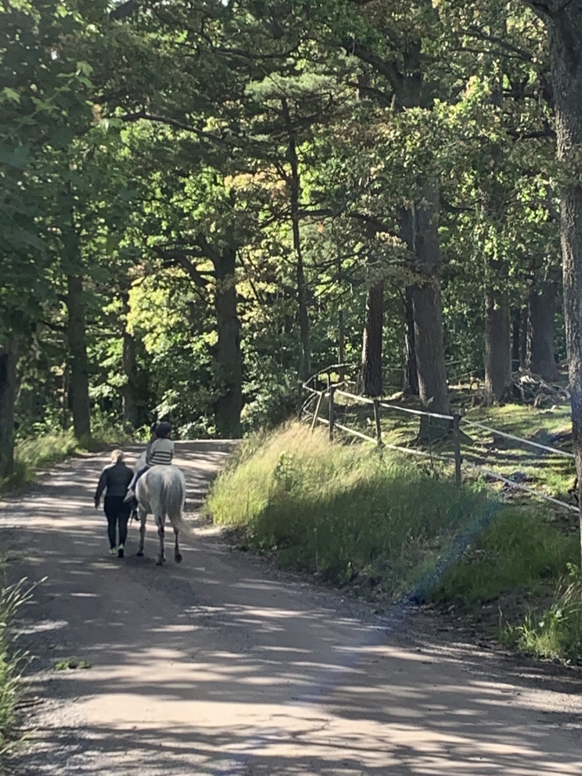 Summer update