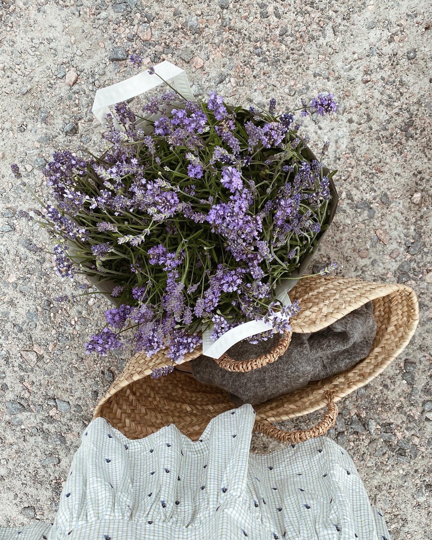 Första veckan på sommarlovet