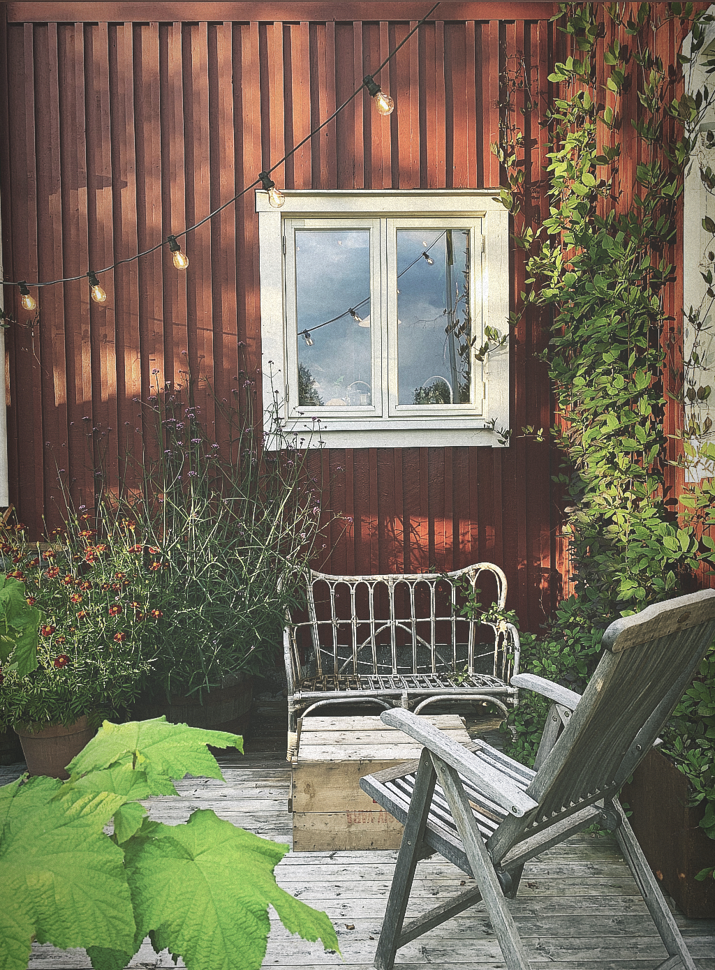 Studiebesök hos Skogsbrynets trädgård