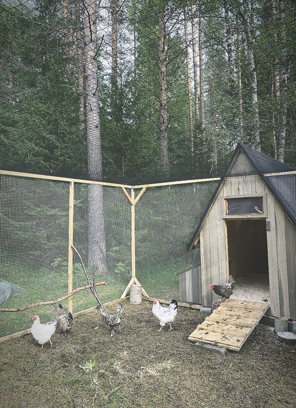 Studiebesök hos Skogsbrynets trädgård