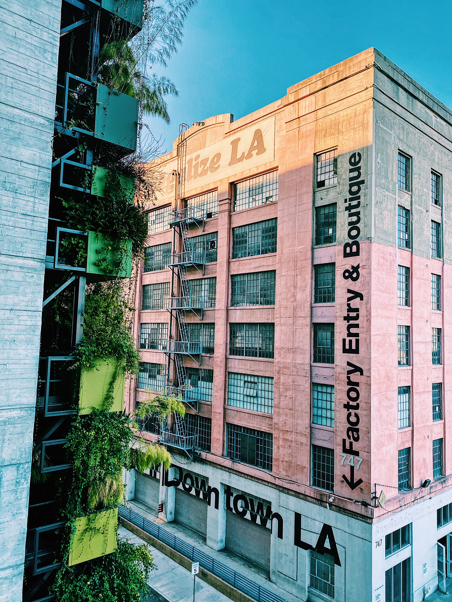 Födelsedagsfest i Silverlake