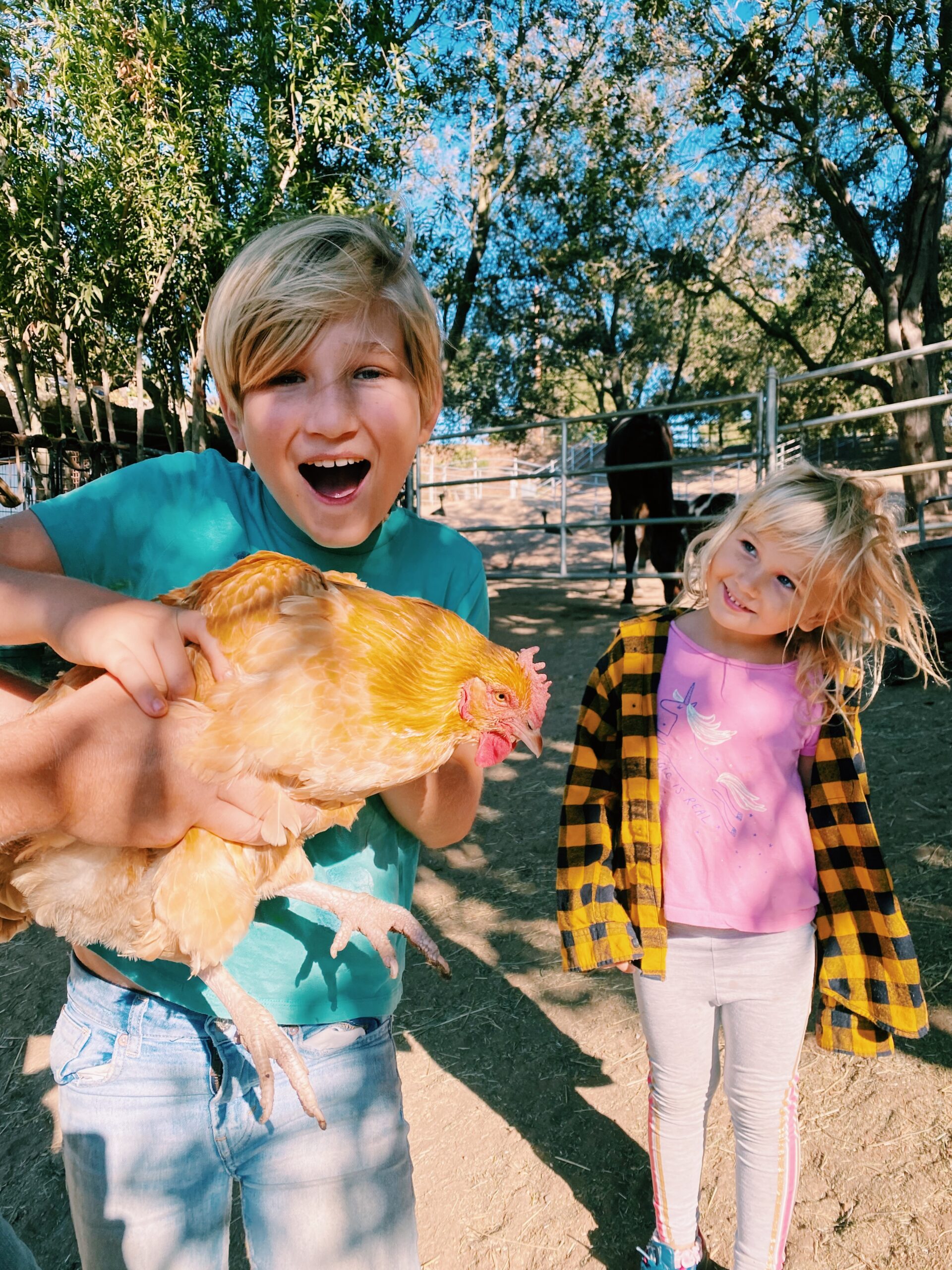 Fredagslänkar den 27 november 2020