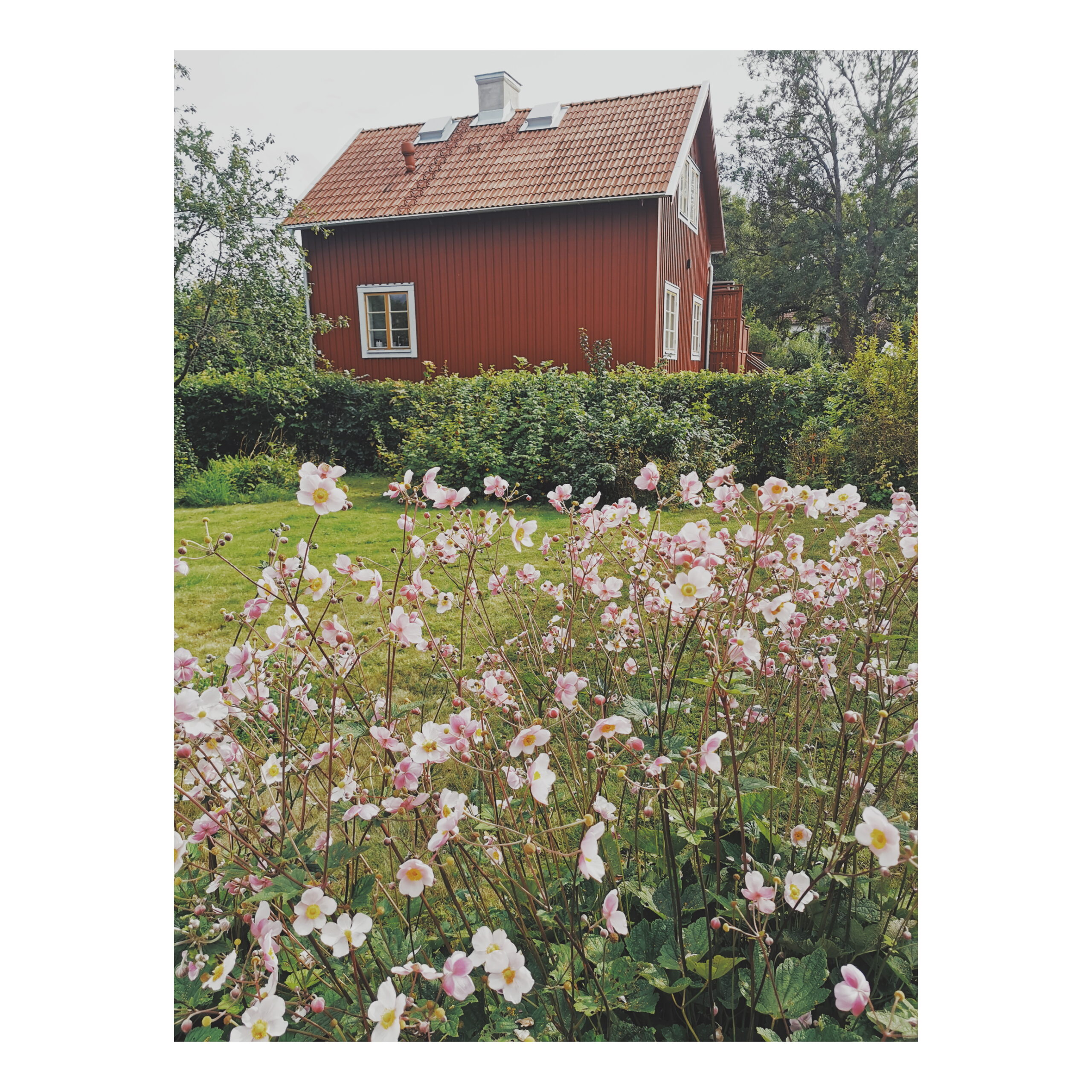 2020, Wow vilket otippat år! Del 2