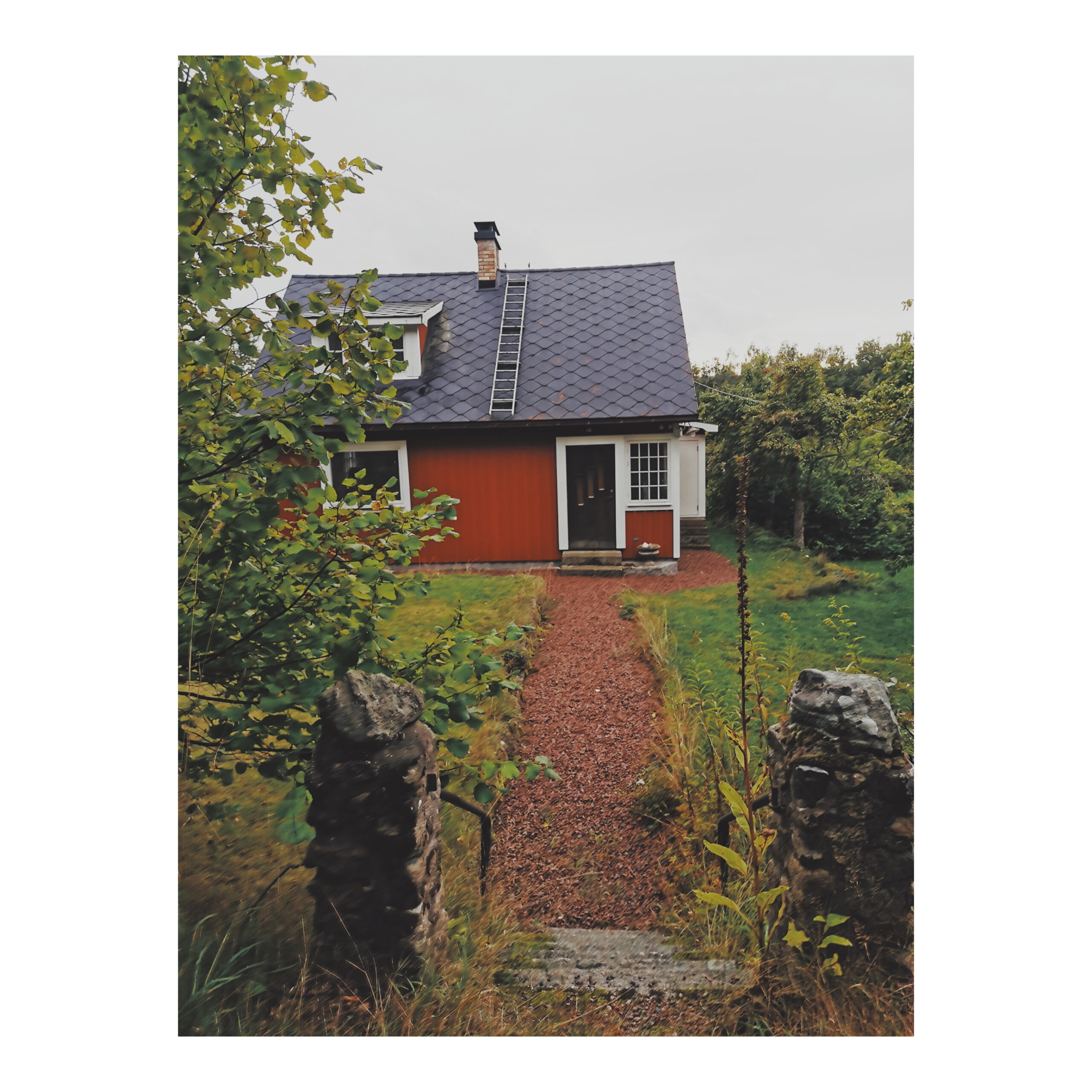 2020, Wow vilket otippat år! Del 2