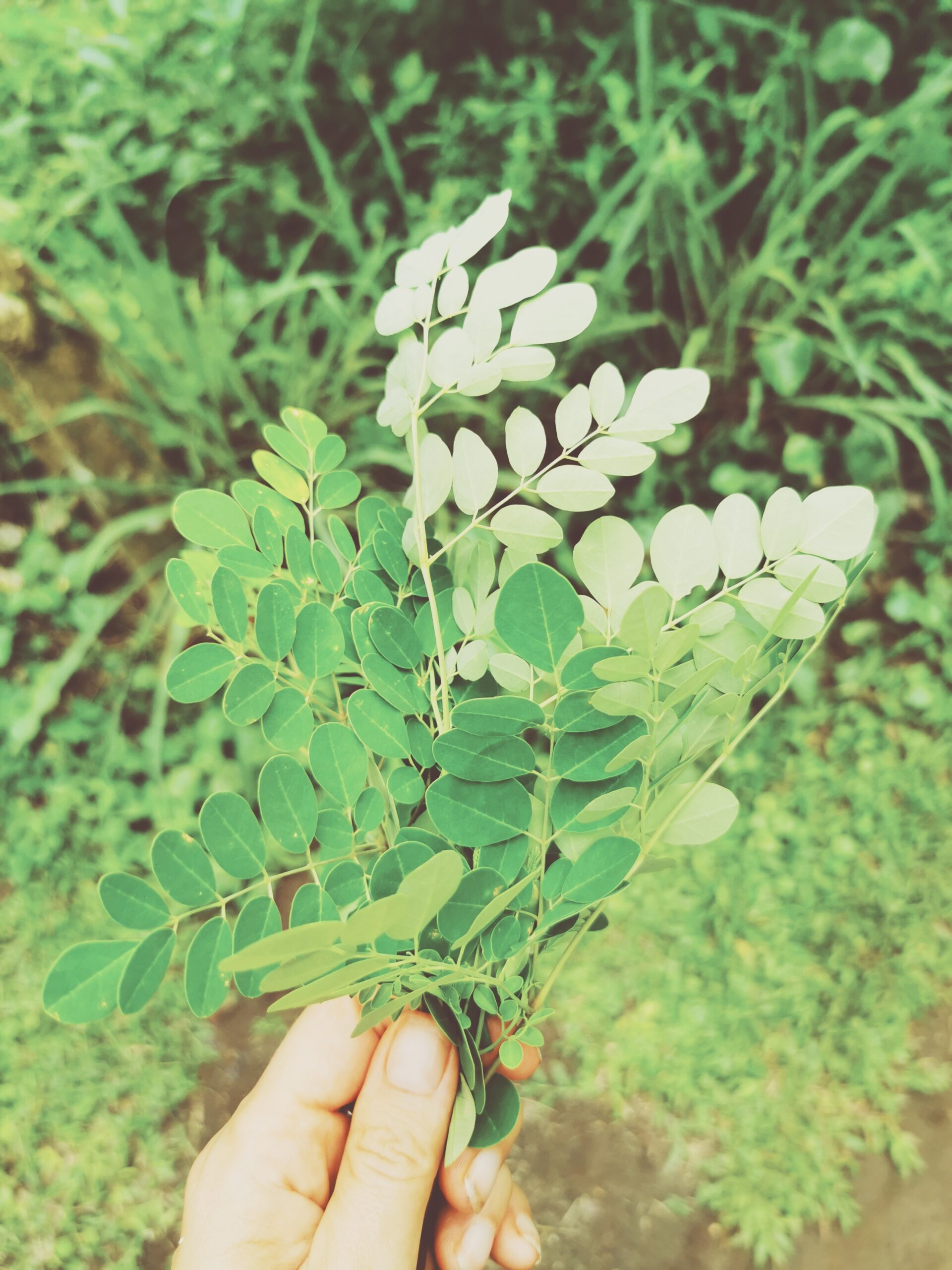 Lugnet före stormen