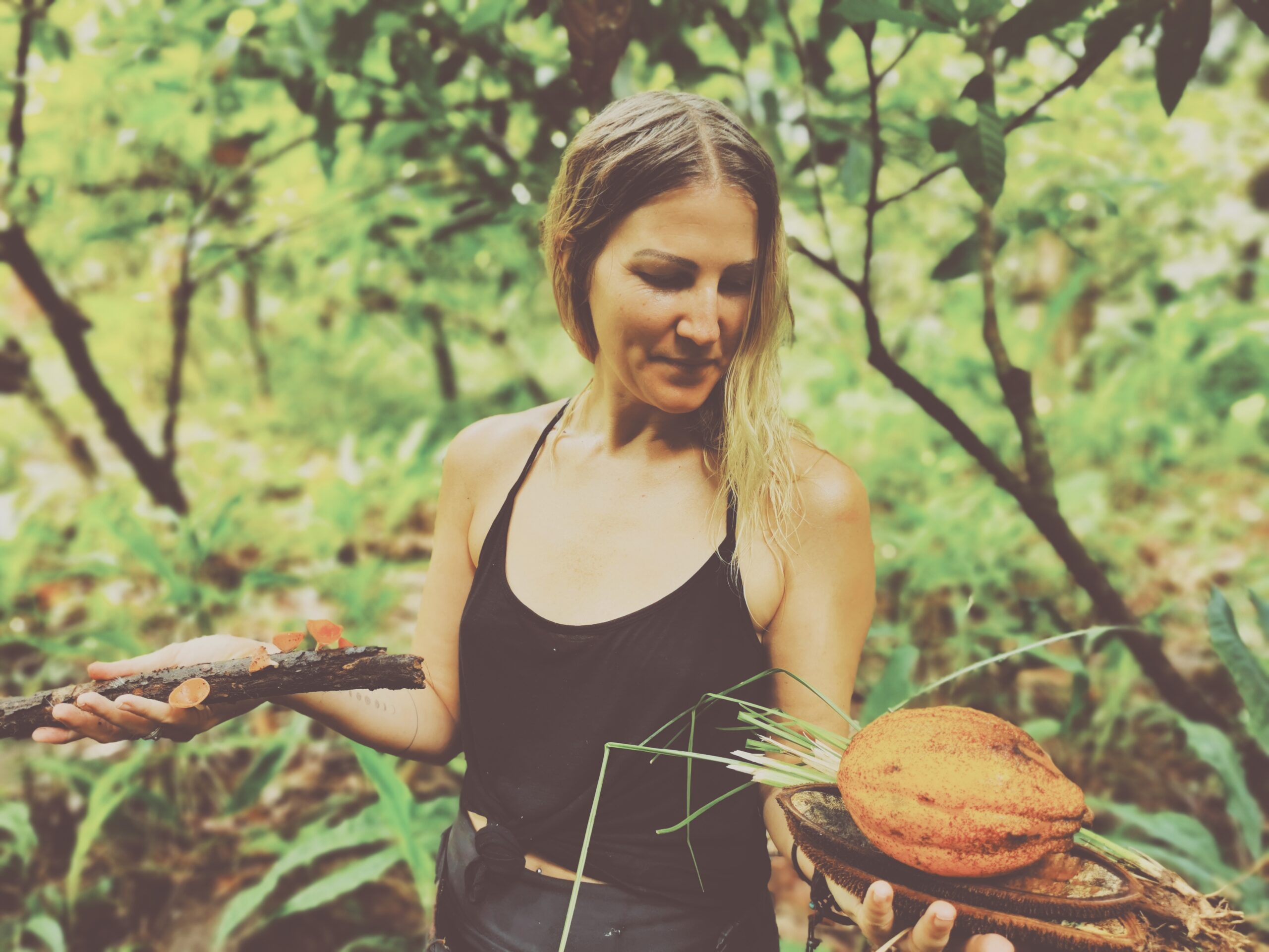 Lugnet före stormen