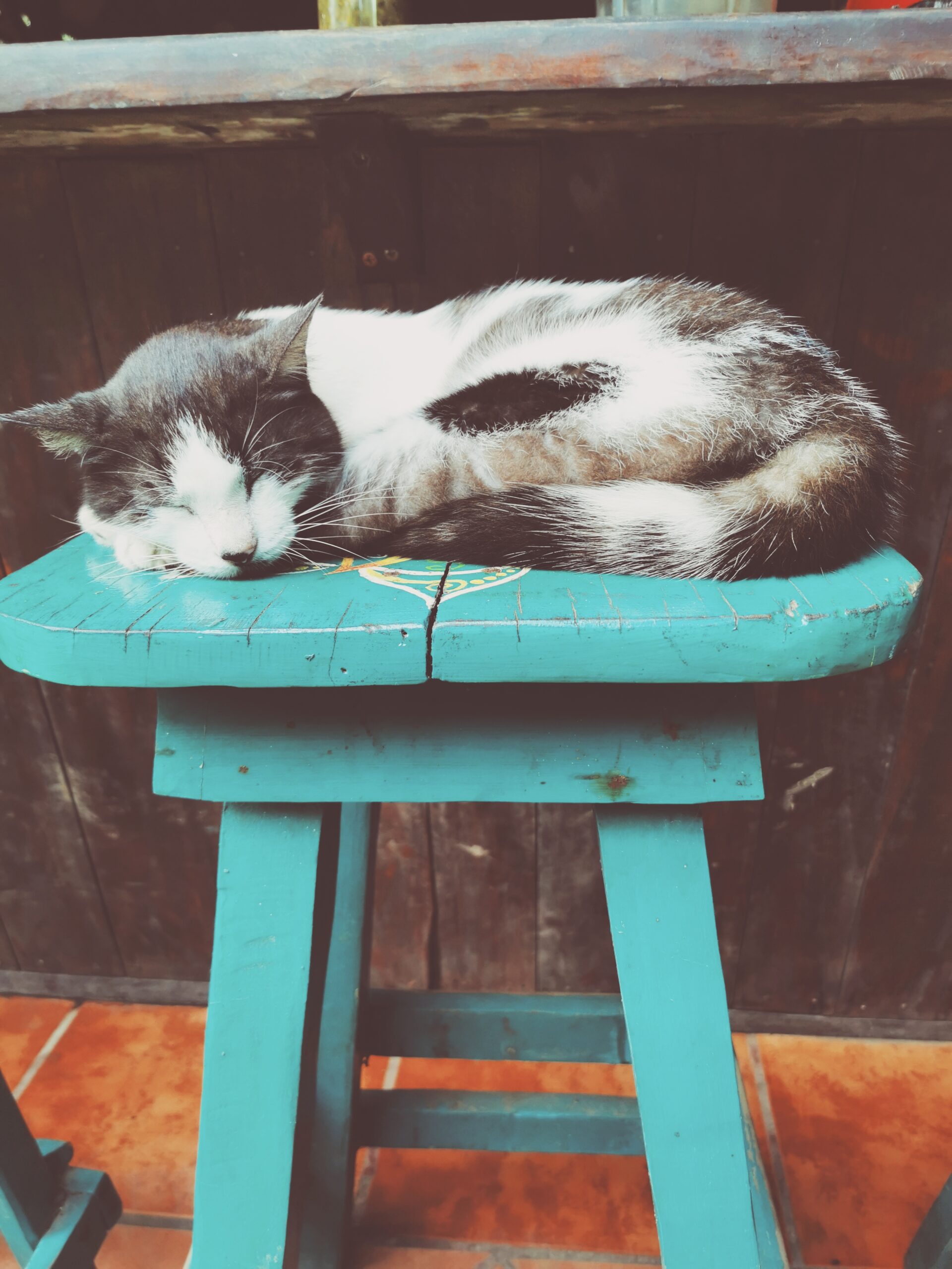 Lugnet före stormen