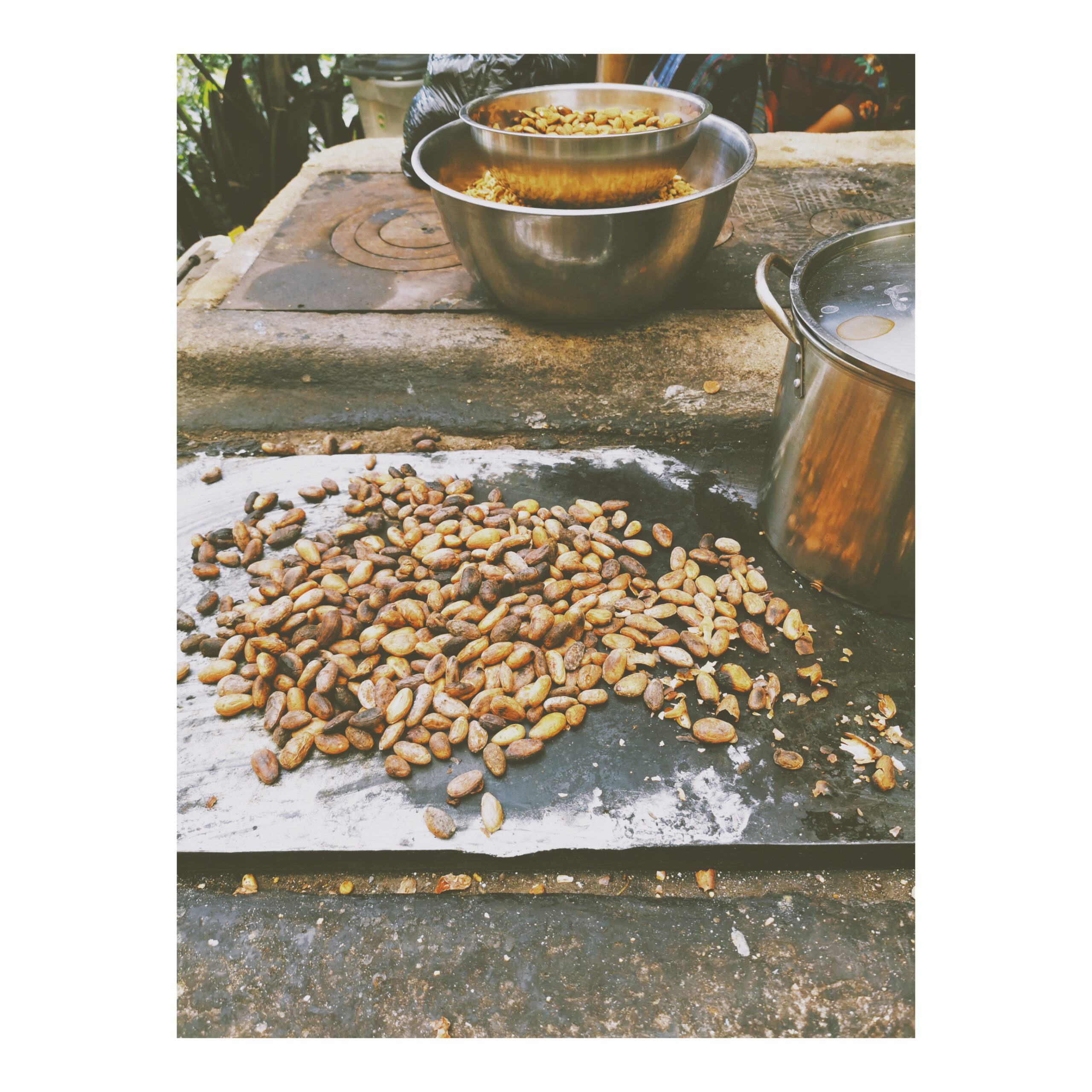 Tillbaka till kakaons hemland