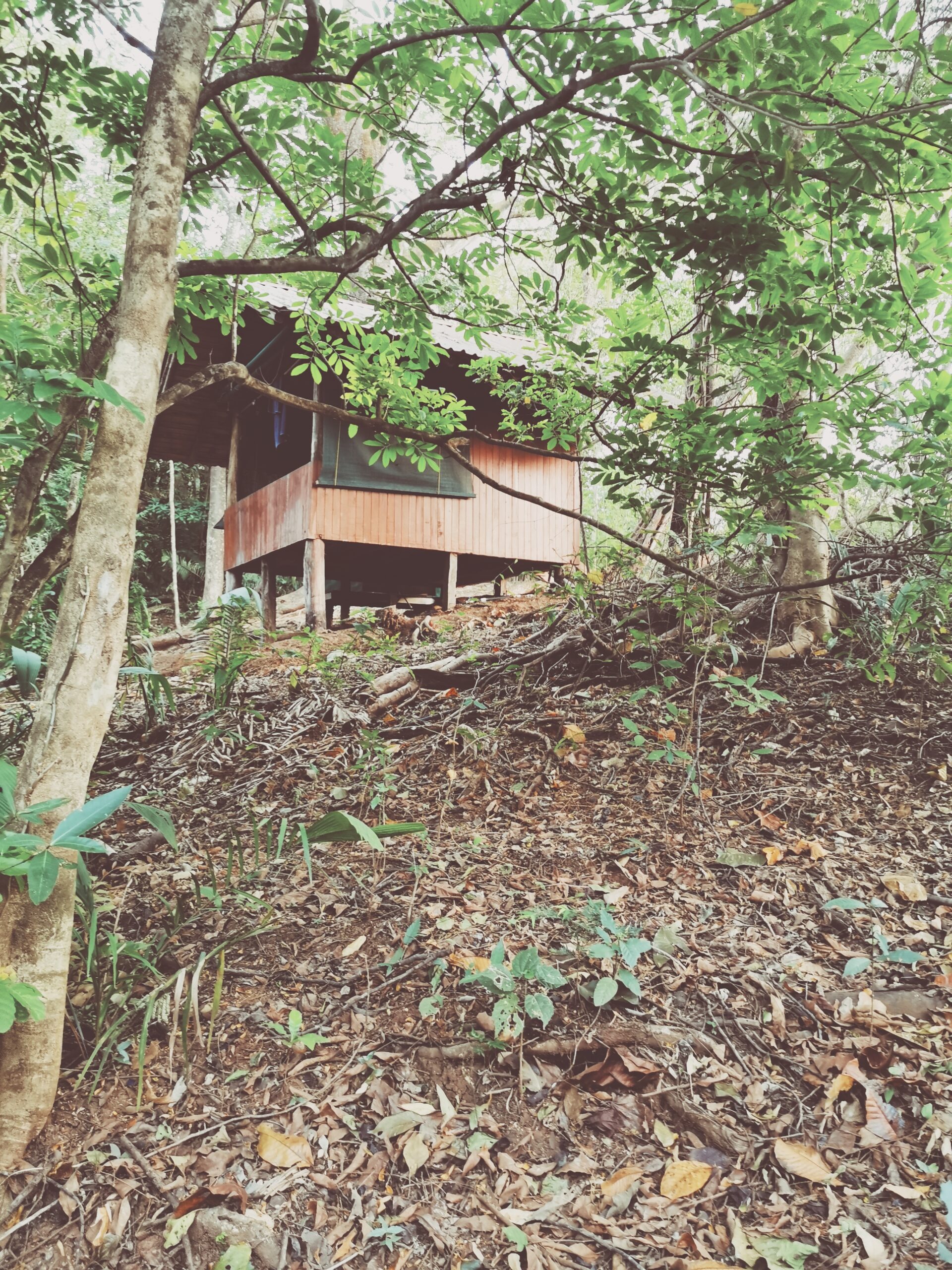 Soliga hälsningar från PachaMama