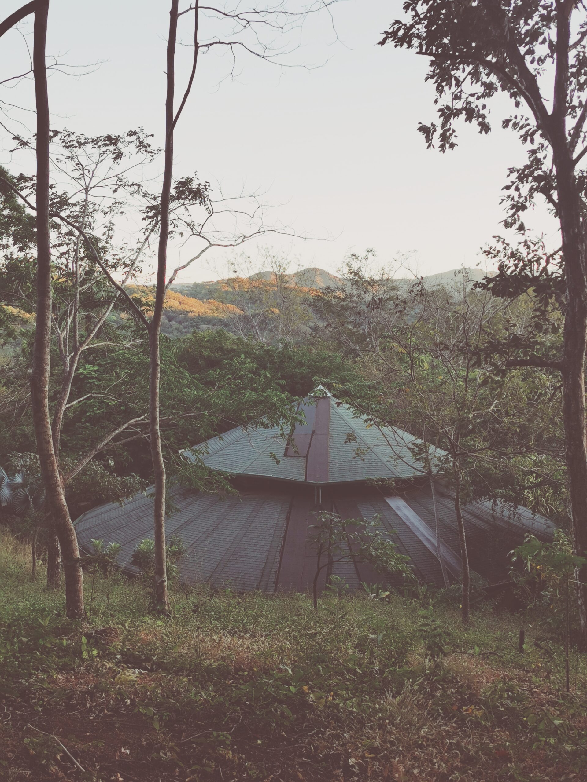 Dagens insikt från min inre guru