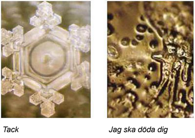 Dagens insikt från min inre guru