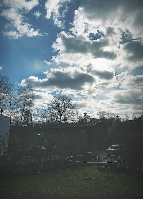 Mixed garden