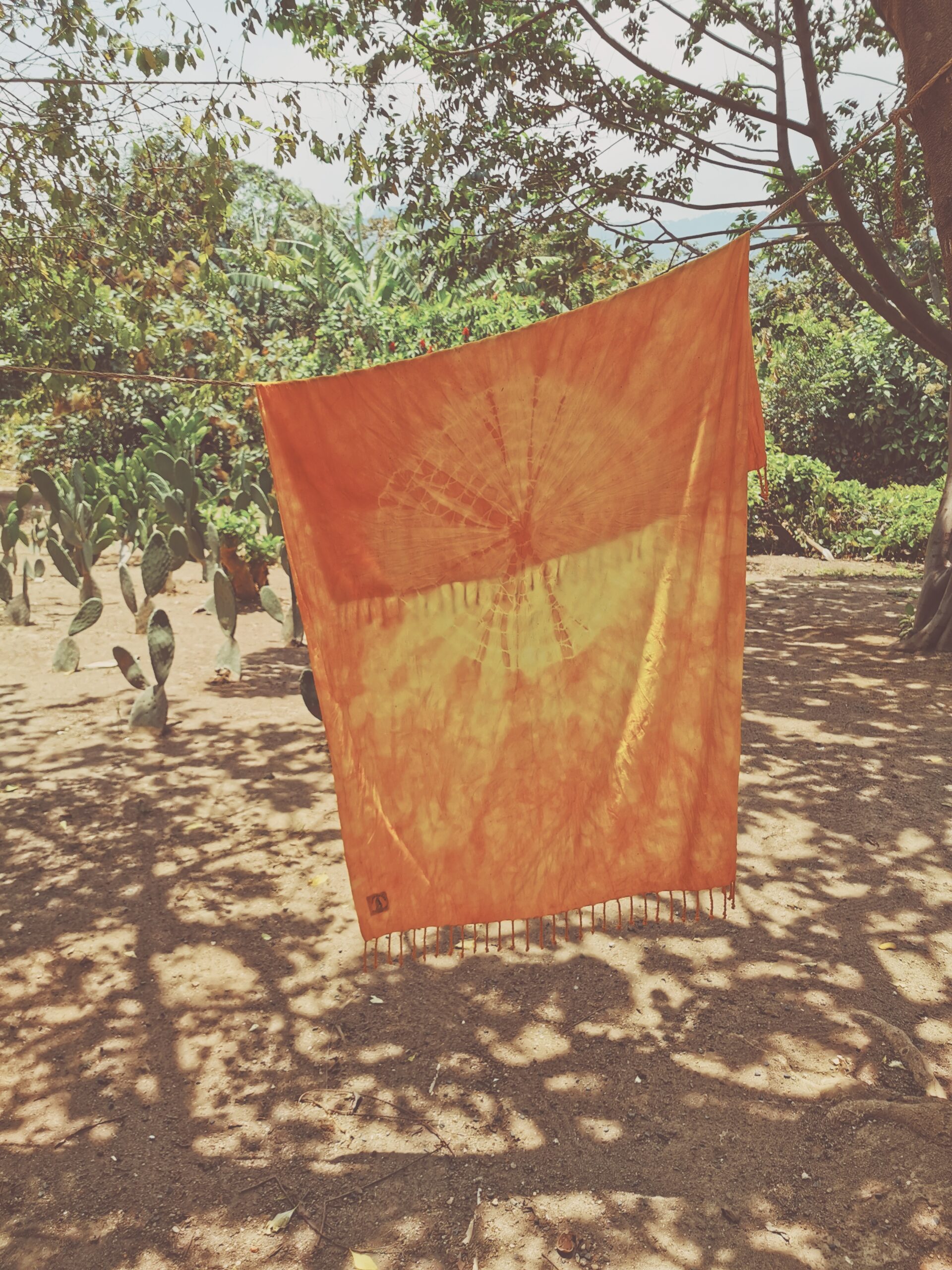 Växtfärgning med Luna Zorro