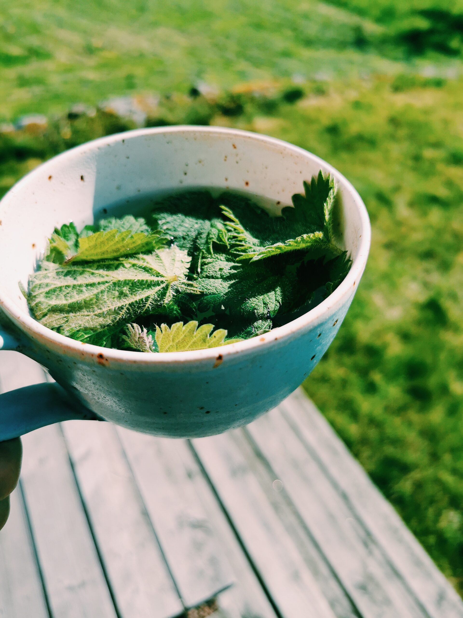 Den vilda Äppelskogen