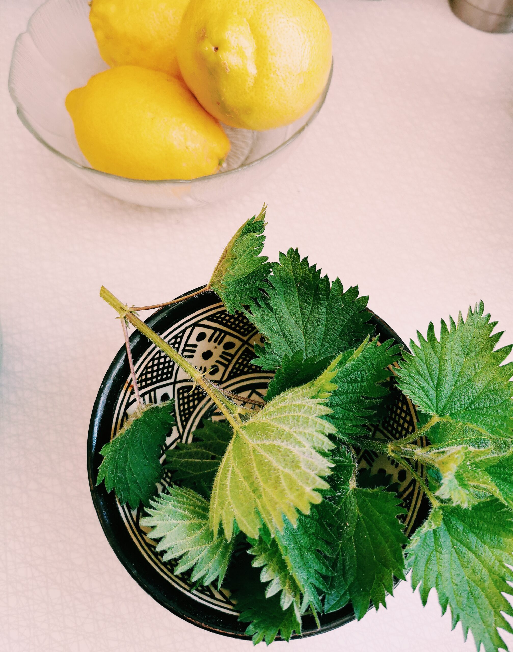 Den vilda Äppelskogen