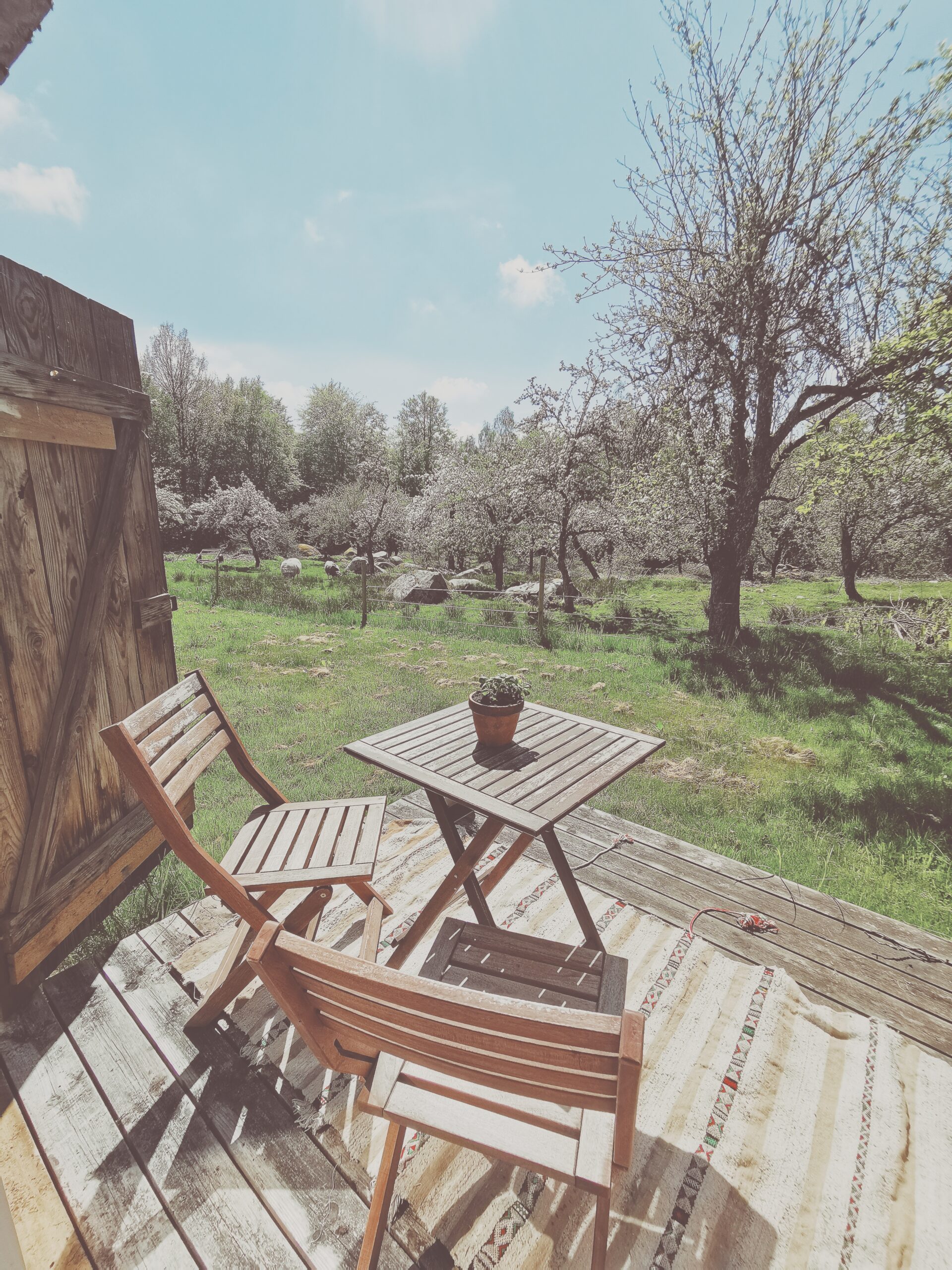 Den vilda Äppelskogen