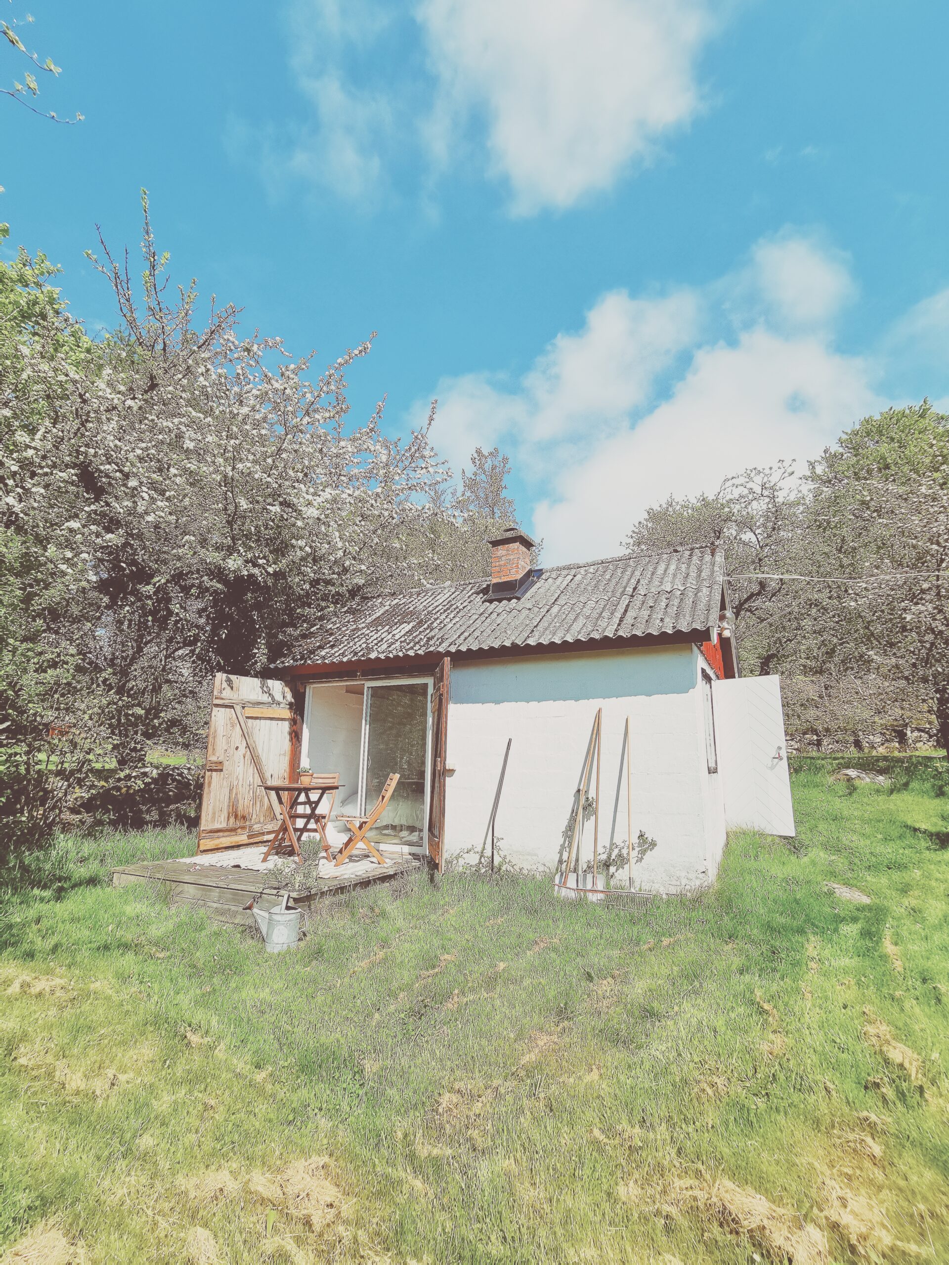 Den vilda Äppelskogen