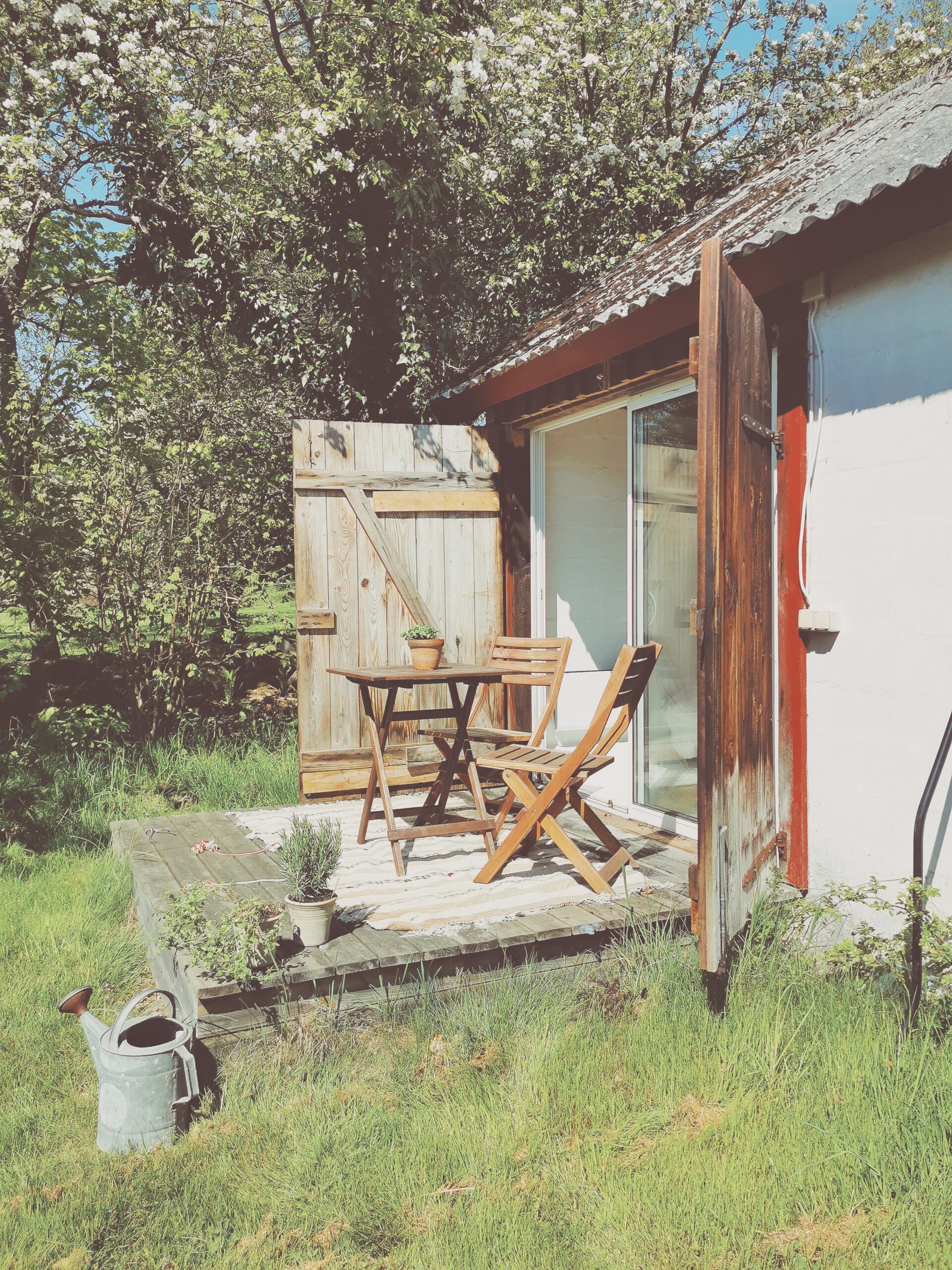 Den vilda Äppelskogen