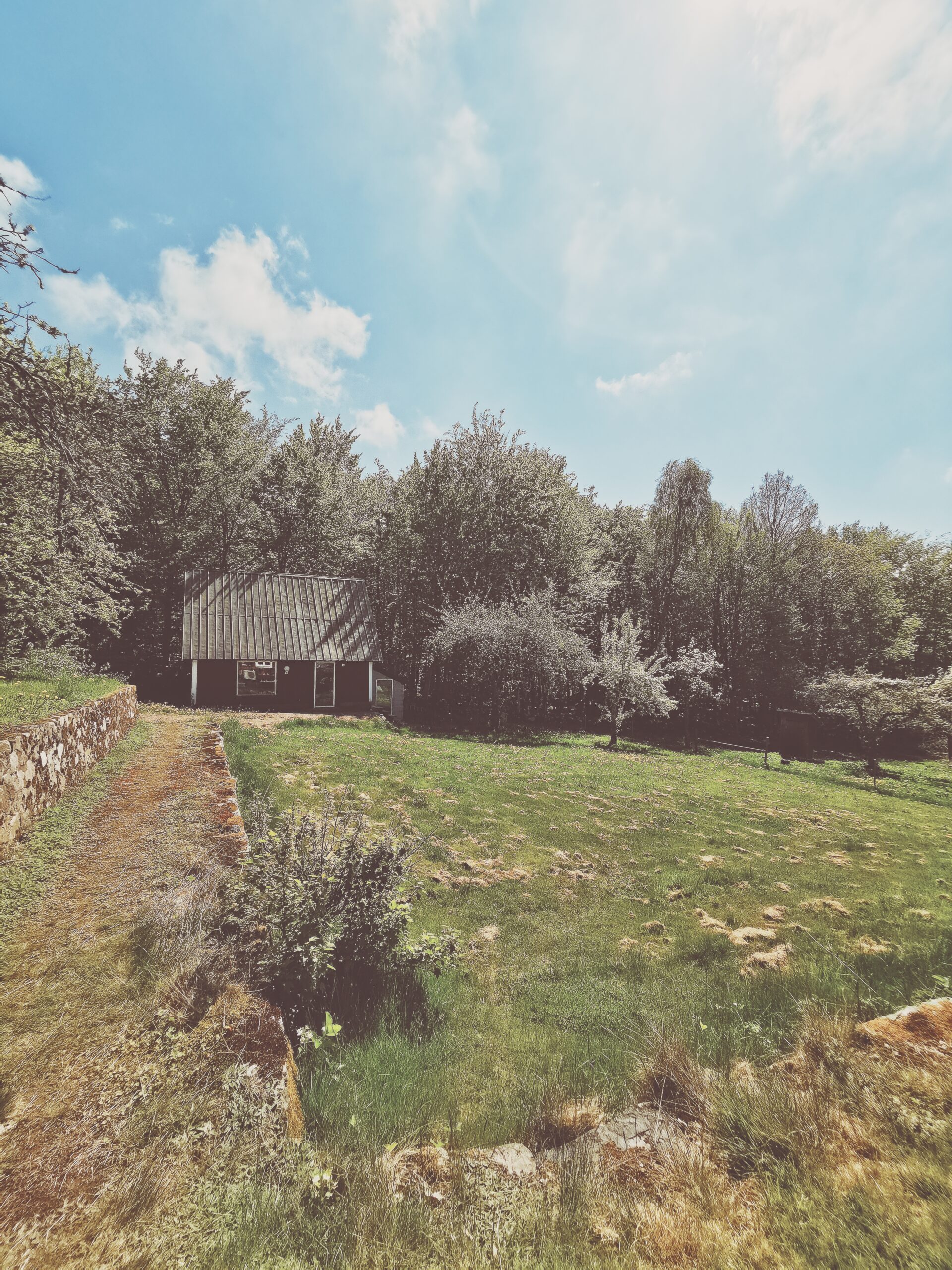 Den vilda Äppelskogen