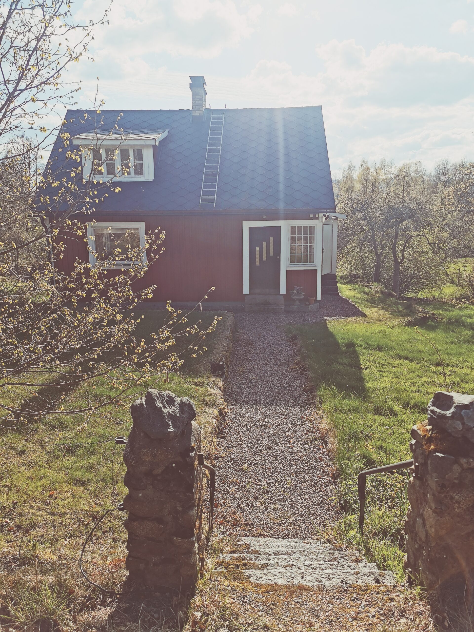 Den vilda Äppelskogen