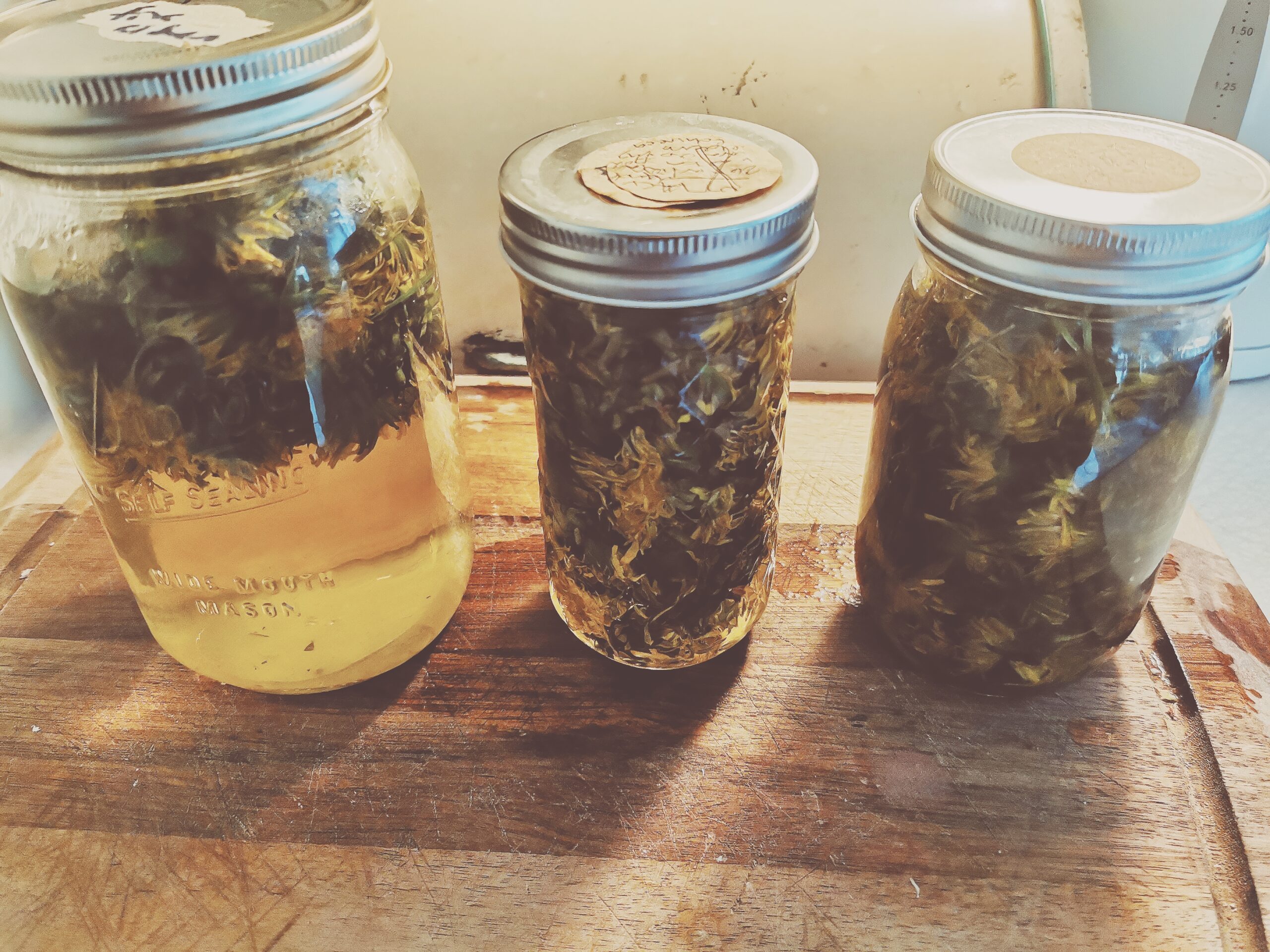 Den vilda Äppelskogen