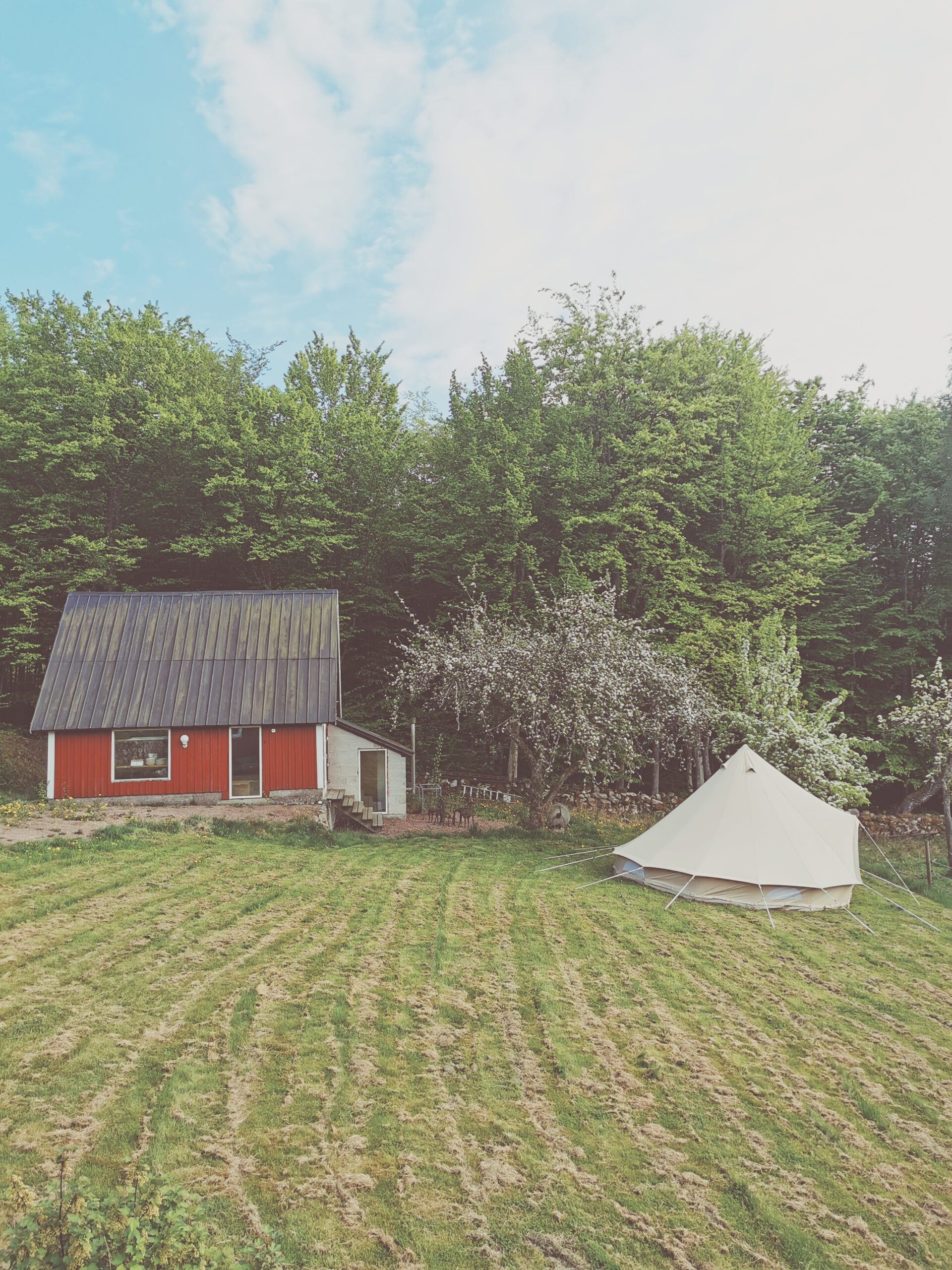 Den vilda Äppelskogen