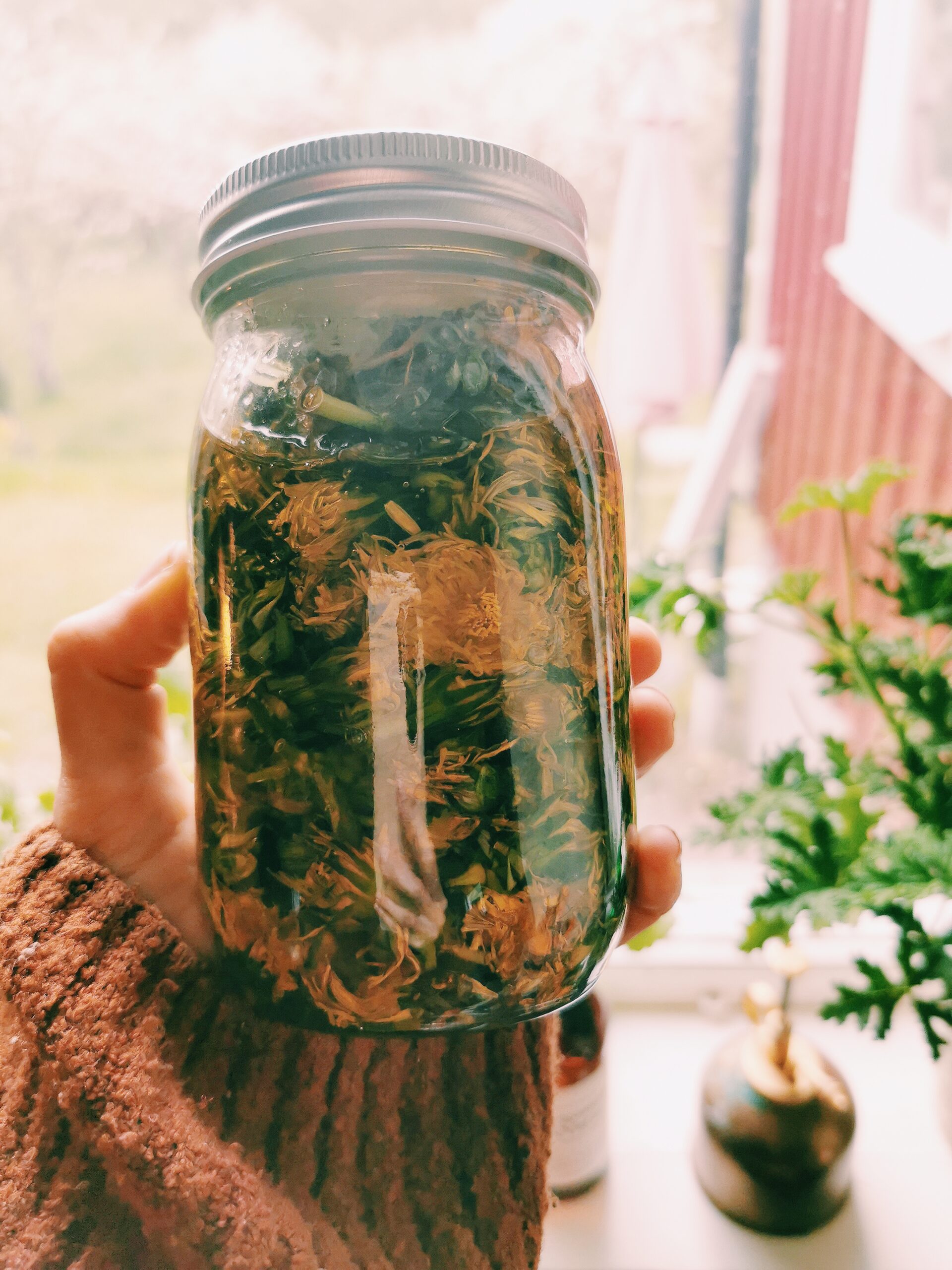 Den vilda Äppelskogen