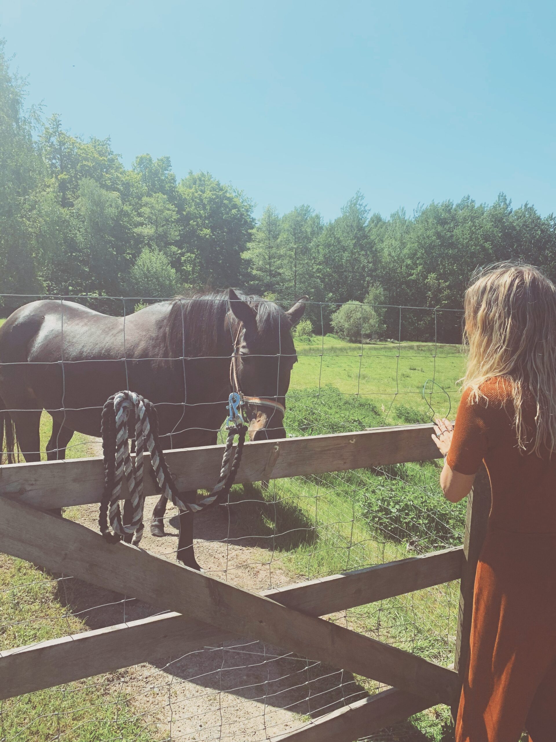 Retreats och ceremonier i sommar