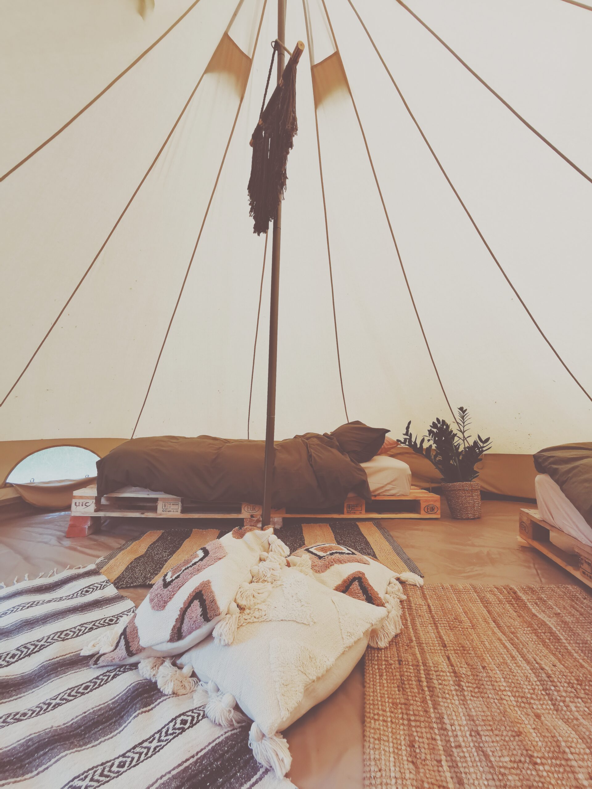 Glamping dröm i Äppelskogen