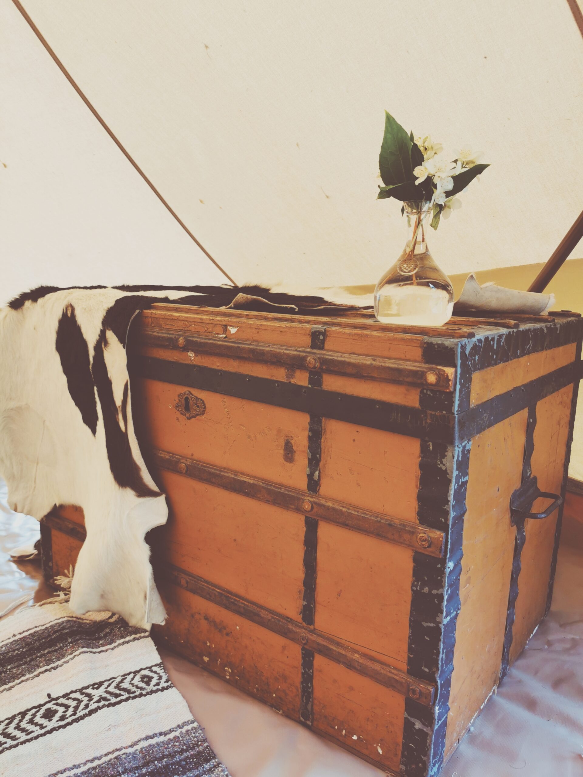 Glamping dröm i Äppelskogen