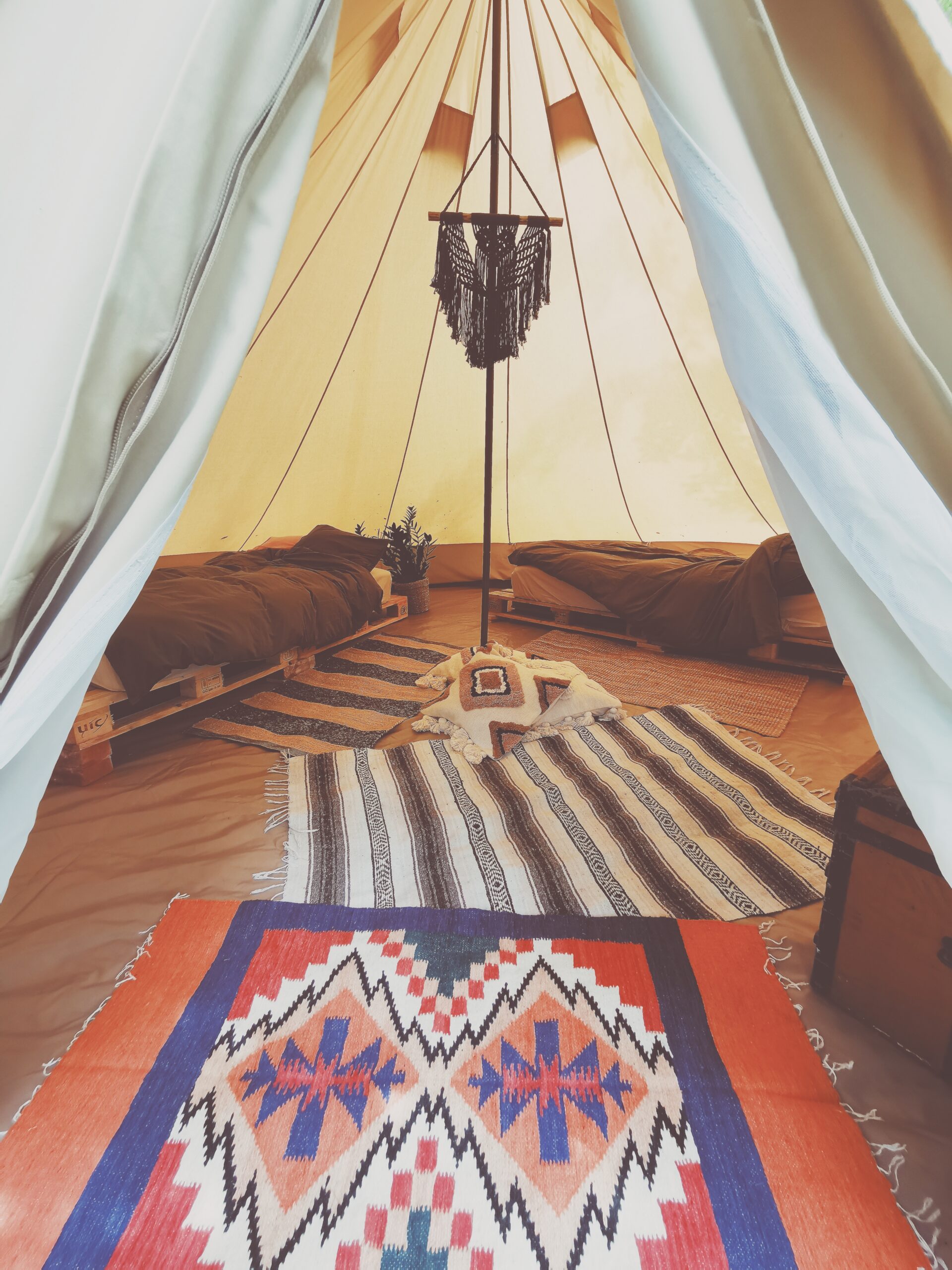 Glamping dröm i Äppelskogen