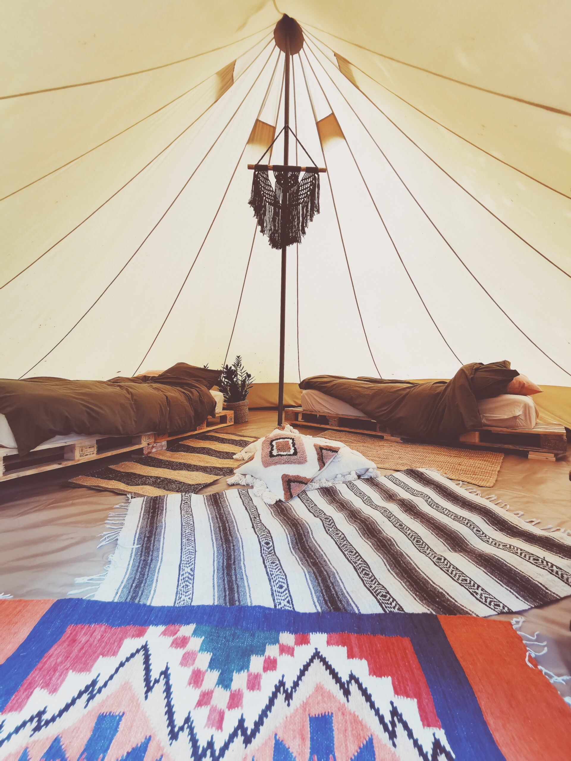 Glamping dröm i Äppelskogen