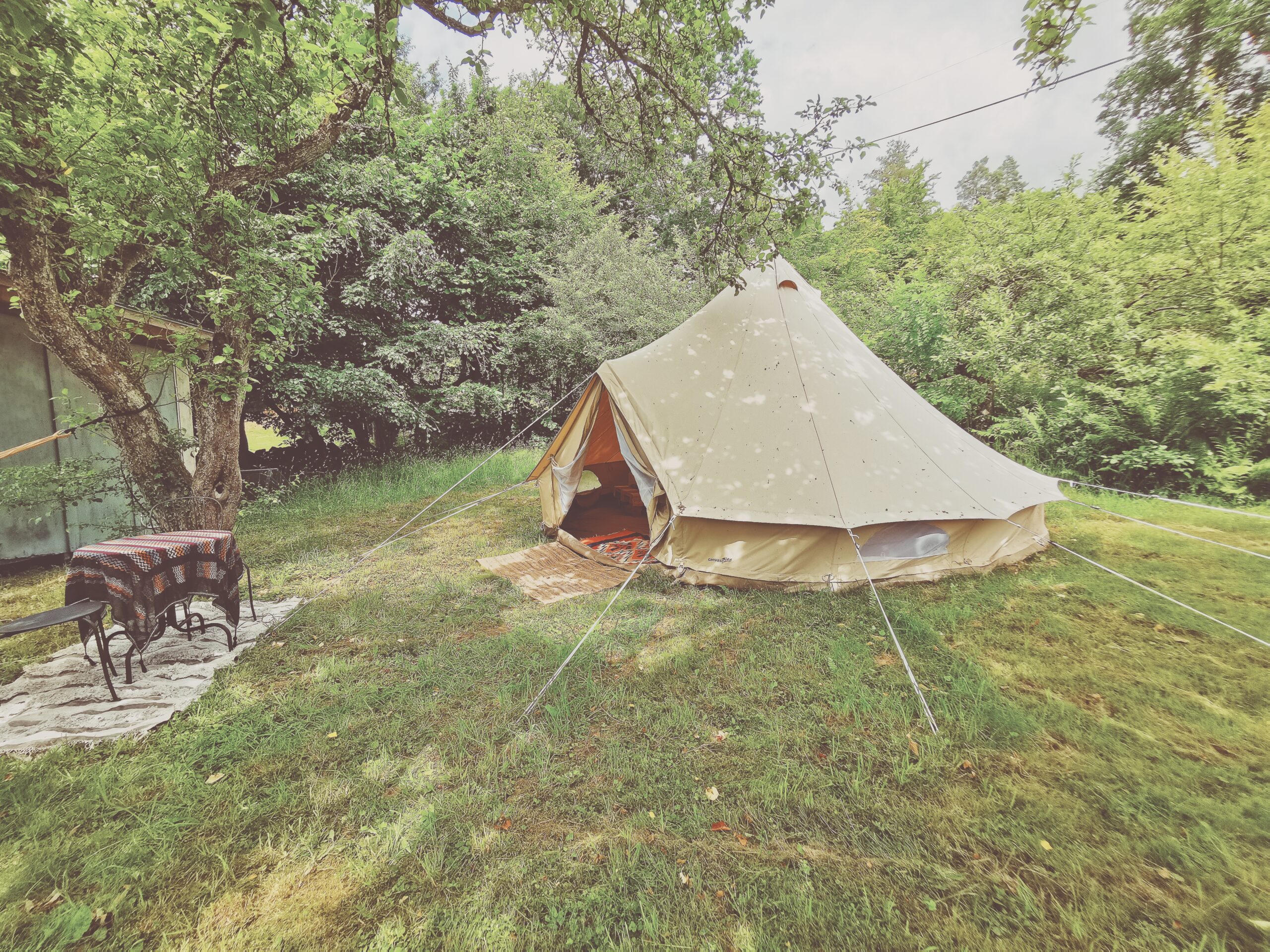Glamping dröm i Äppelskogen