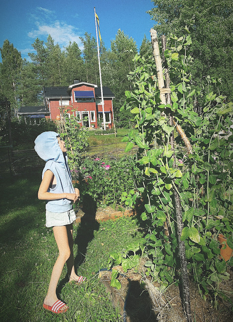 Mixed summer