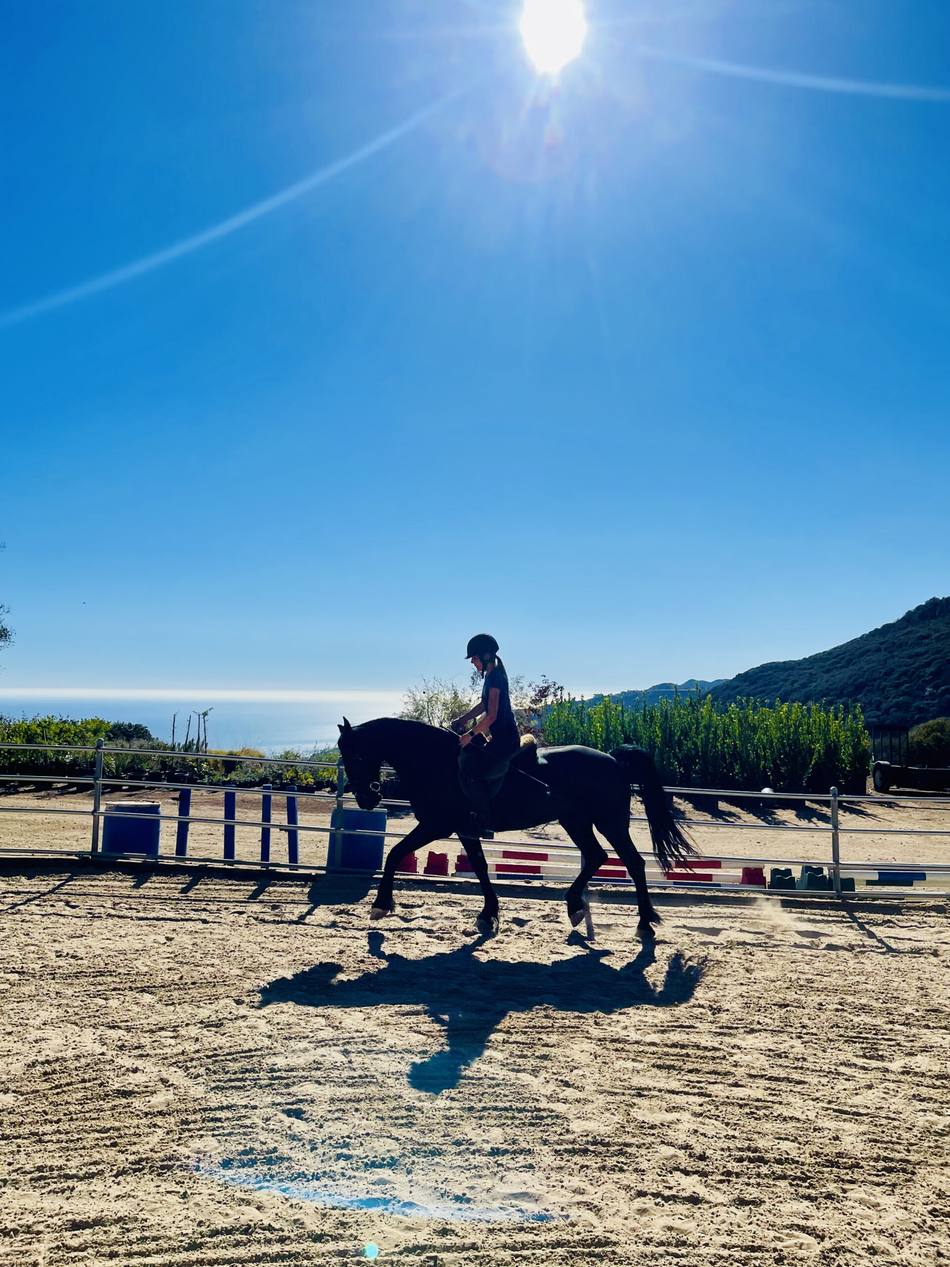 Vad heter bareback saddle på svenska?