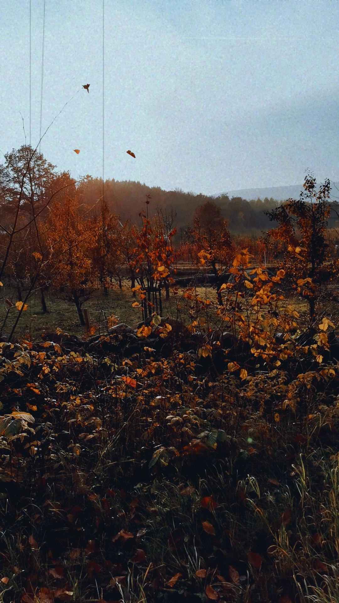 Retreats, puppy love and living my dream