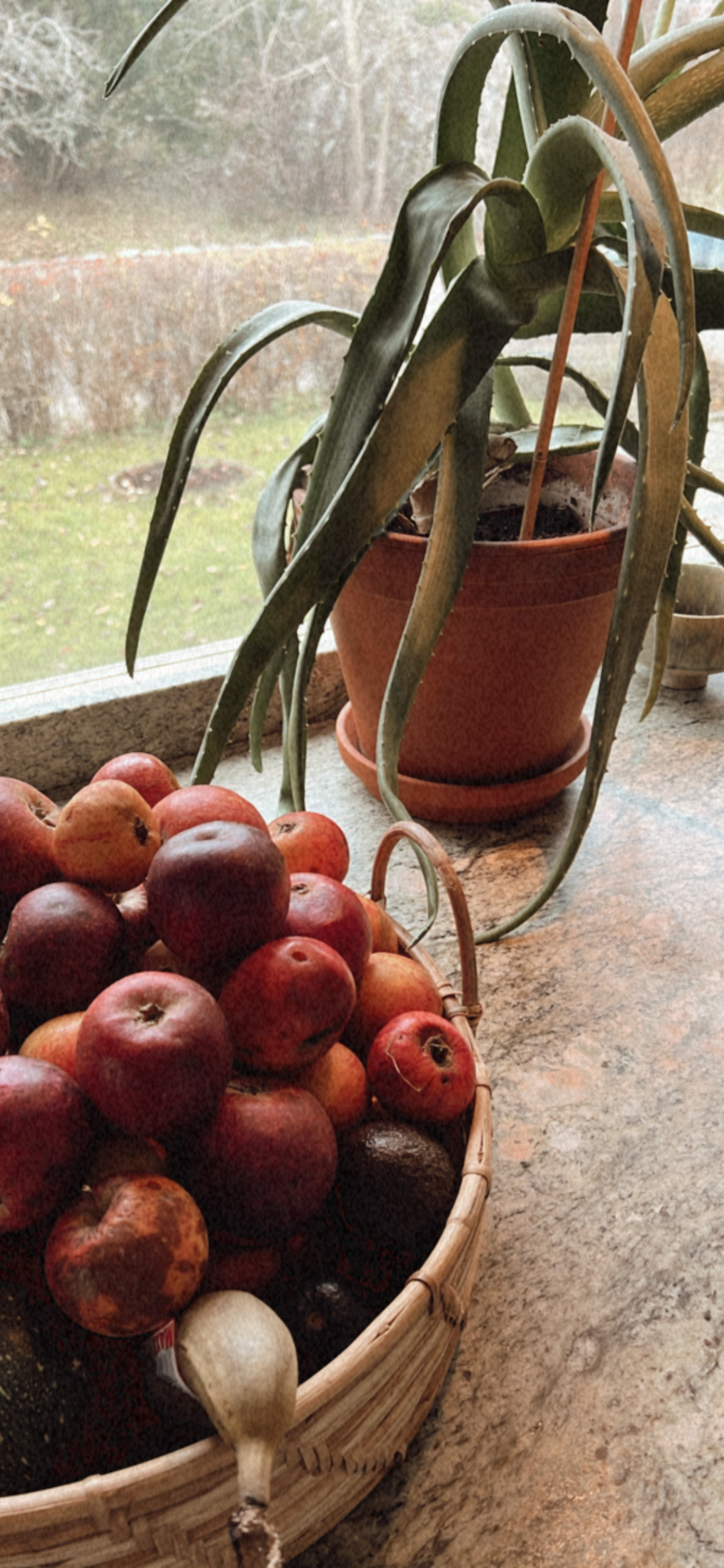 Kakaoceremonier i Stockholm