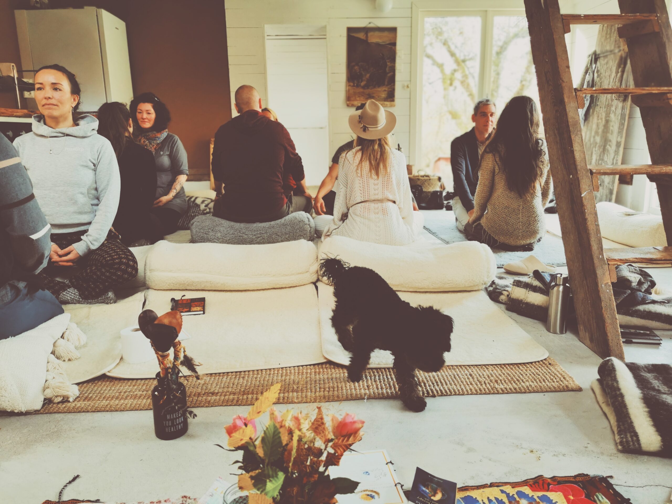 Retreats, puppy love and living my dream