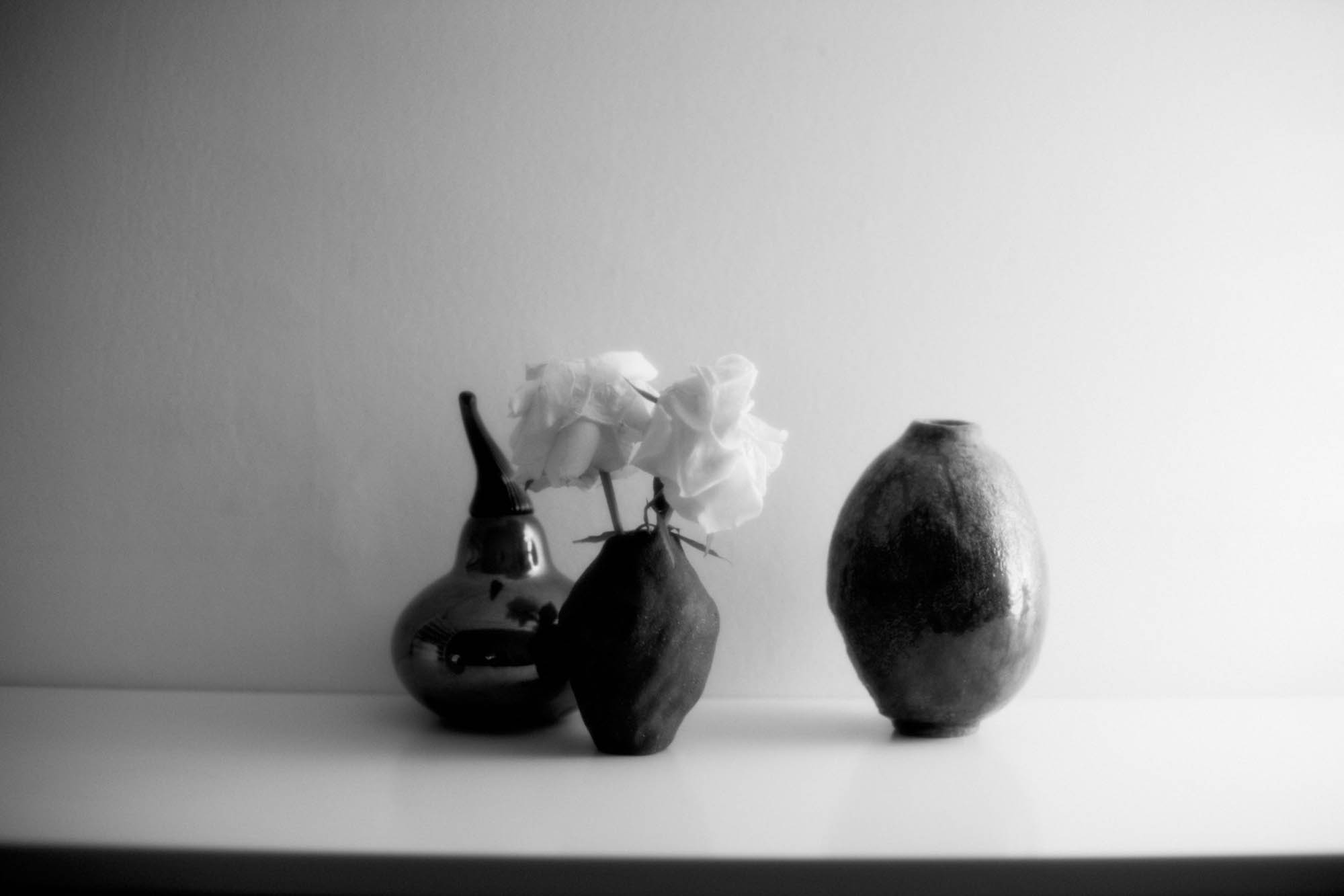 Signe Siemsen