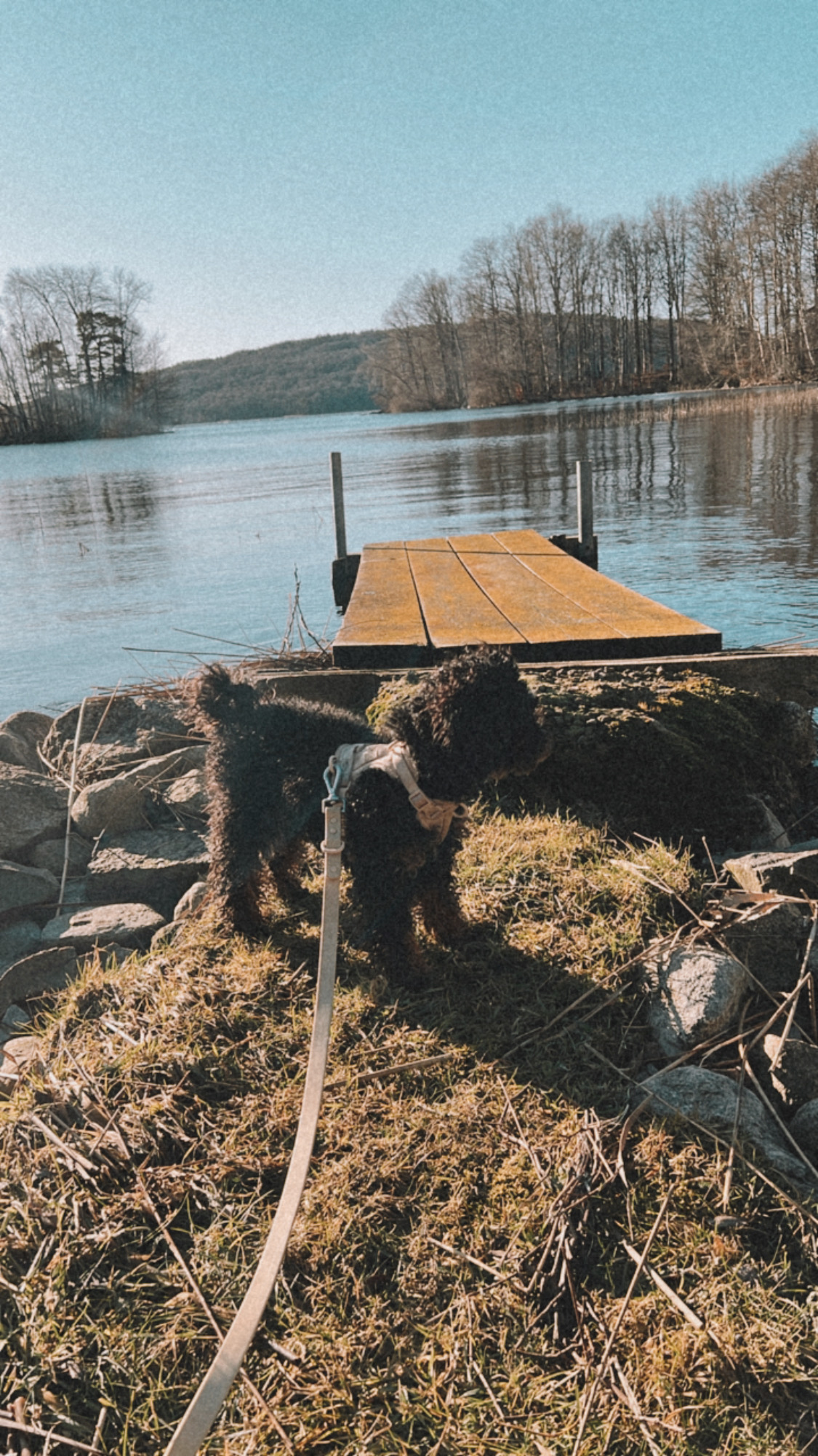 Boosta ditt immunförsvar