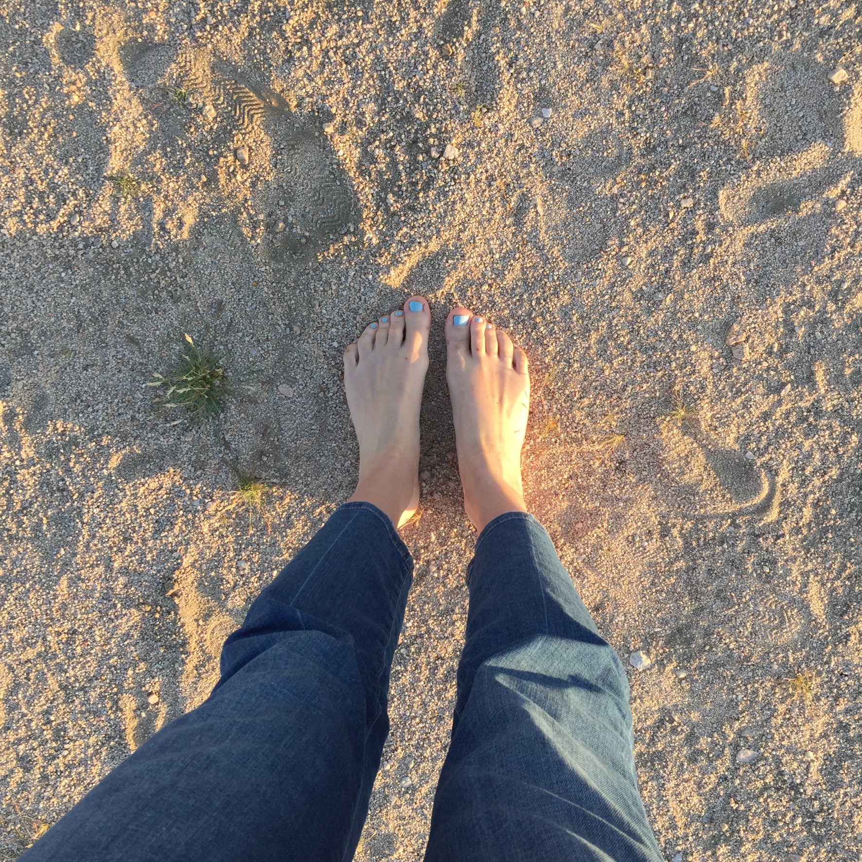 JOSHUA TREE