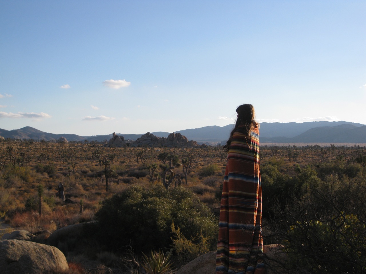 JOSHUA TREE