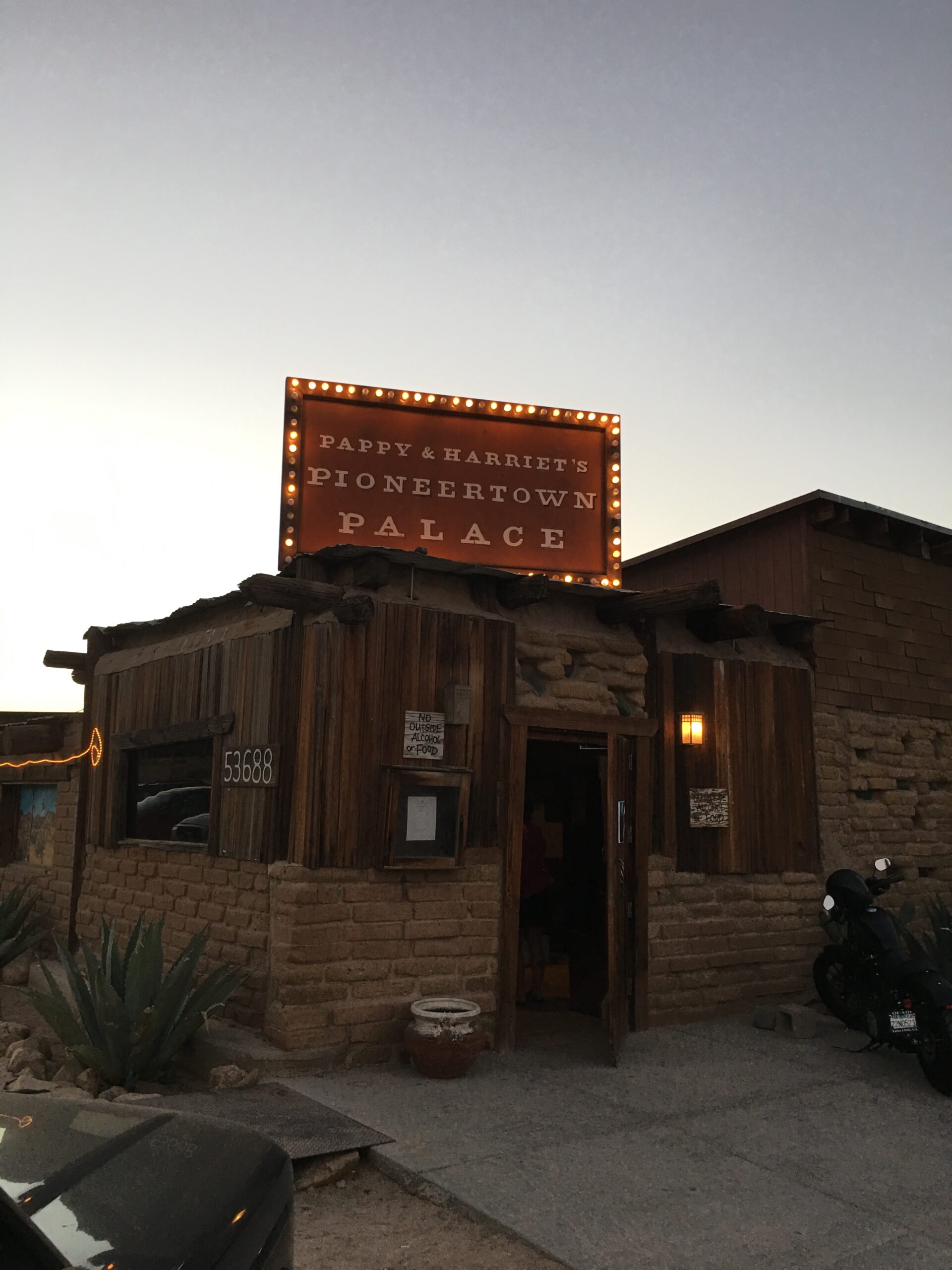 JOSHUA TREE