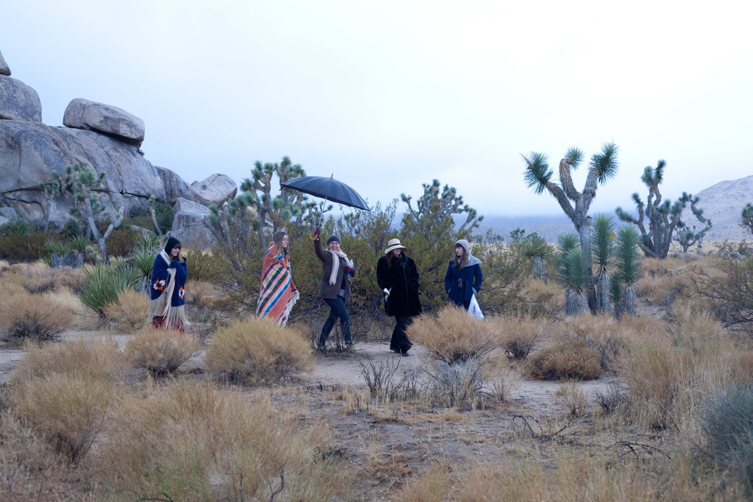 JOSHUA TREE