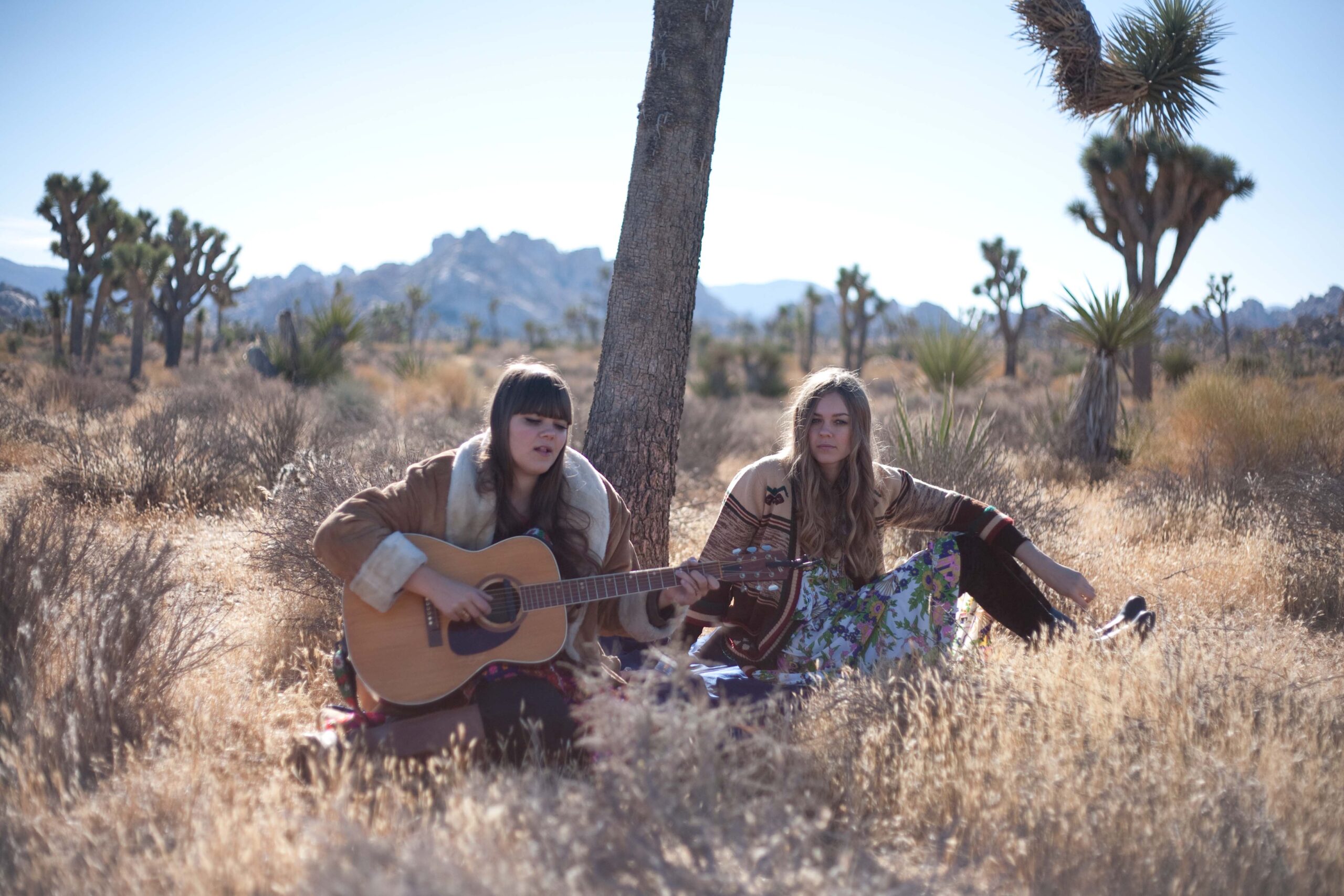 JOSHUA TREE